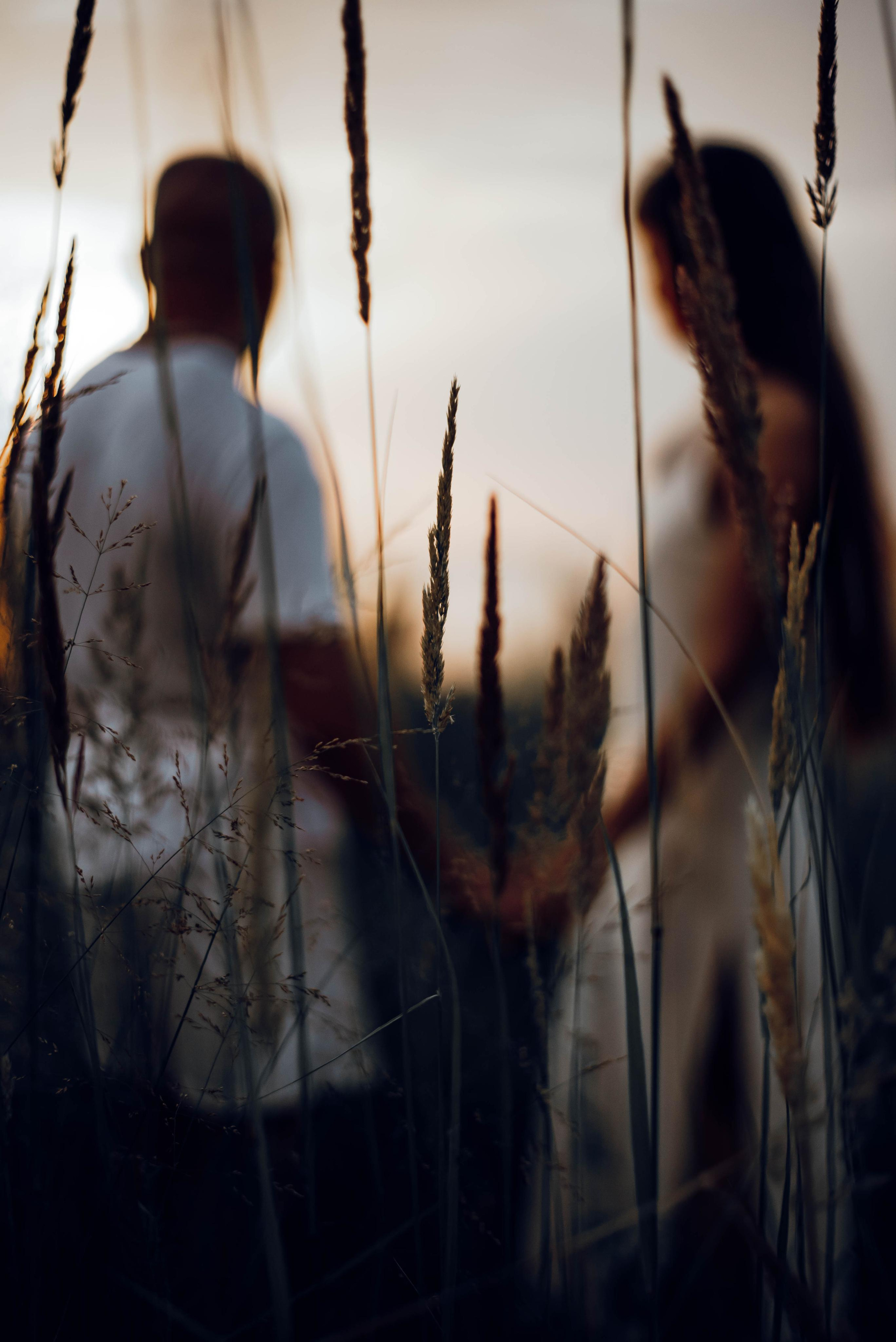 Услуги. Семейный фотограф Фурман Юлия г. Ульяновск