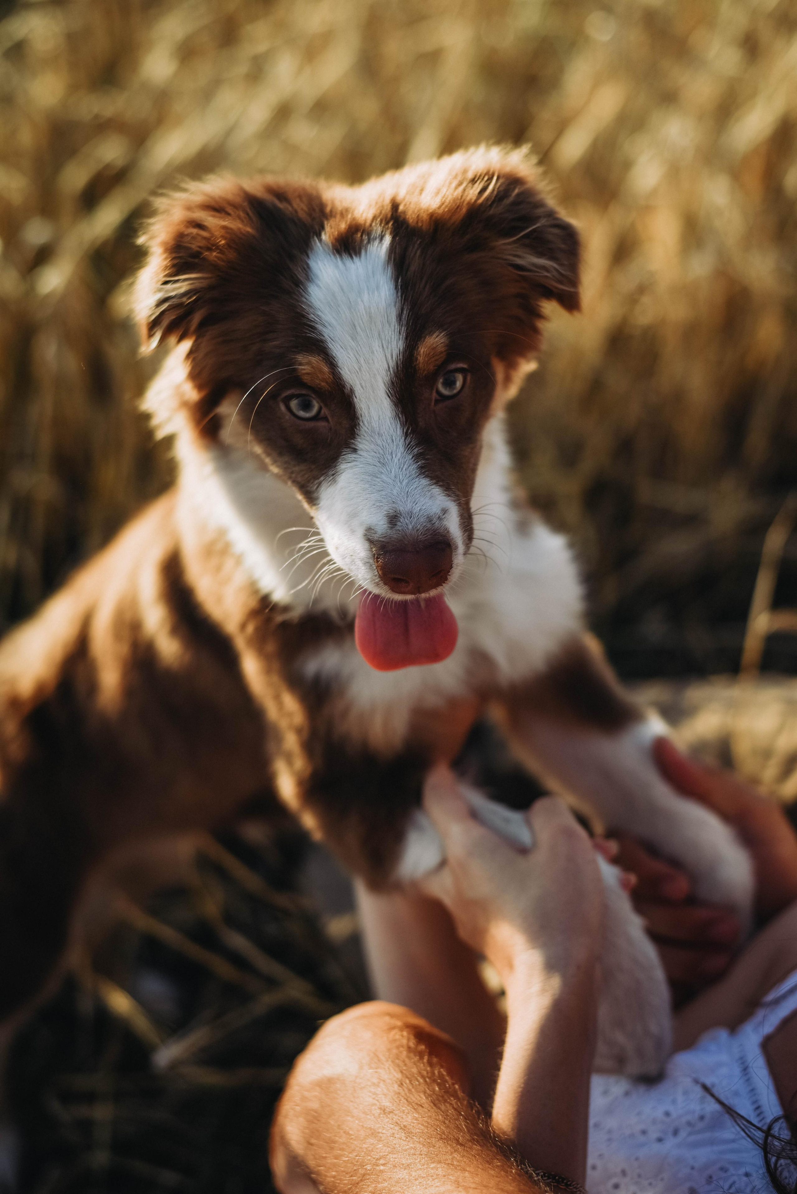 В ожидании. Семейный фотограф Фурман Юлия г. Ульяновск