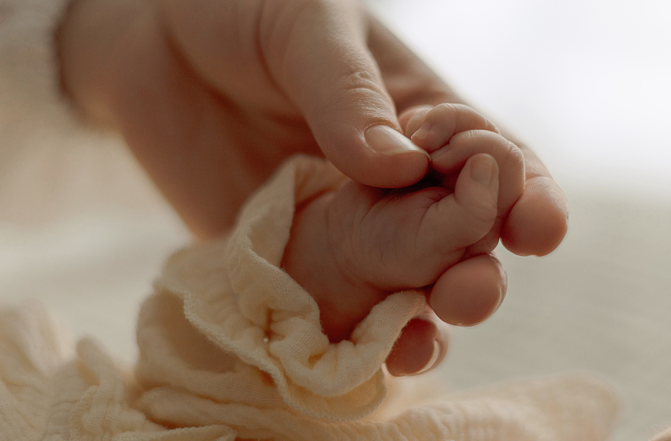 фотограф новорожденных