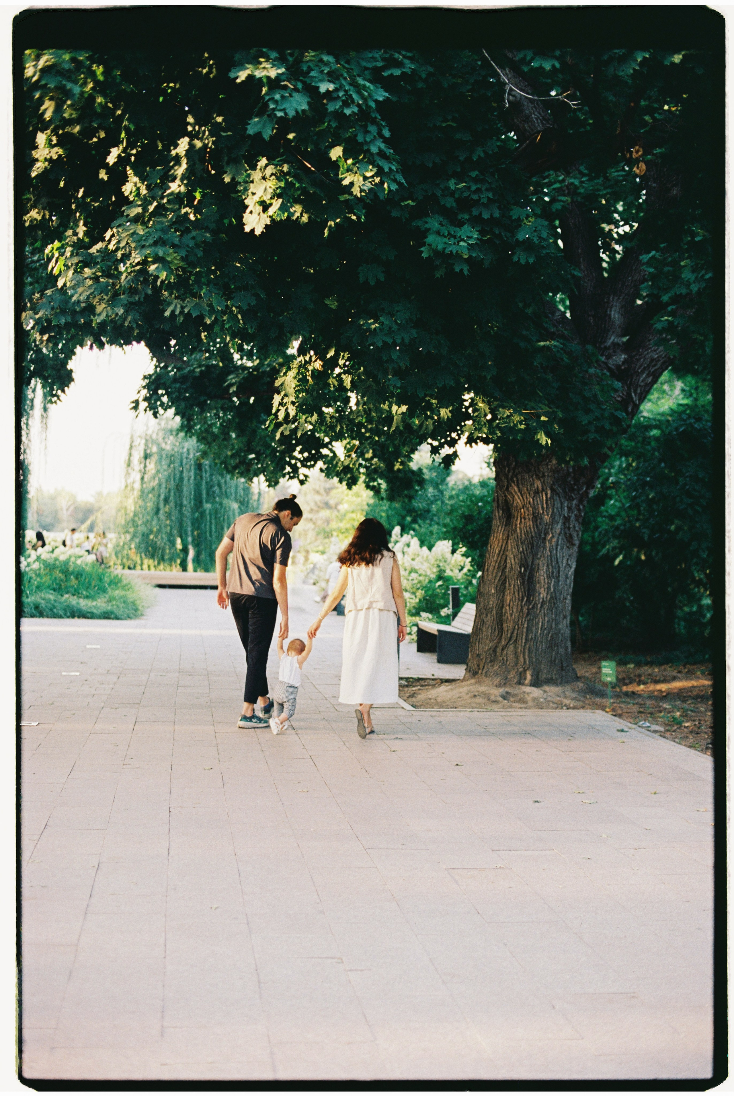 Летнее чудо. Фотограф в Алматы — Алексей Коньков | Репортаж, свадьбы, портреты