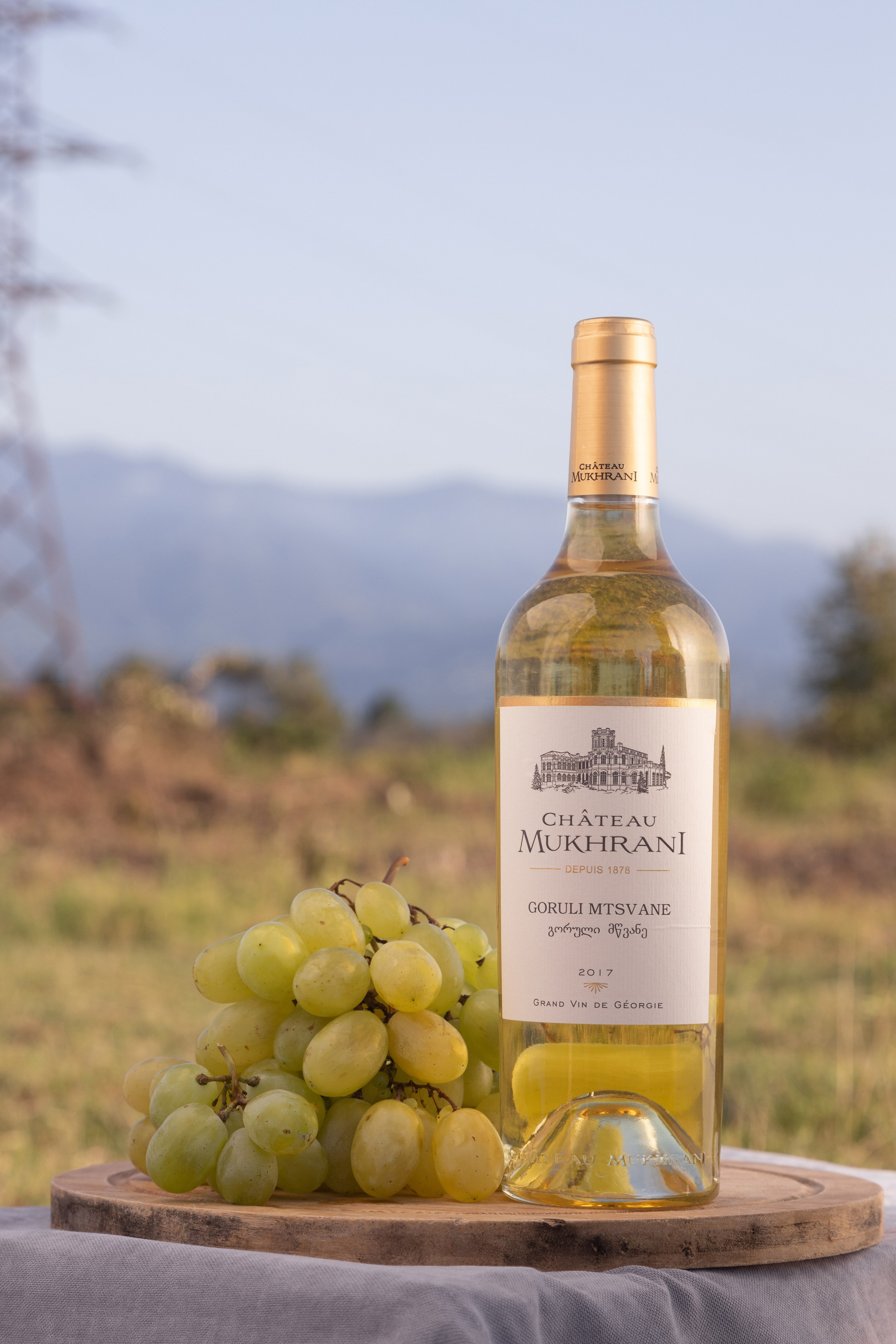 Портфолио Предметы