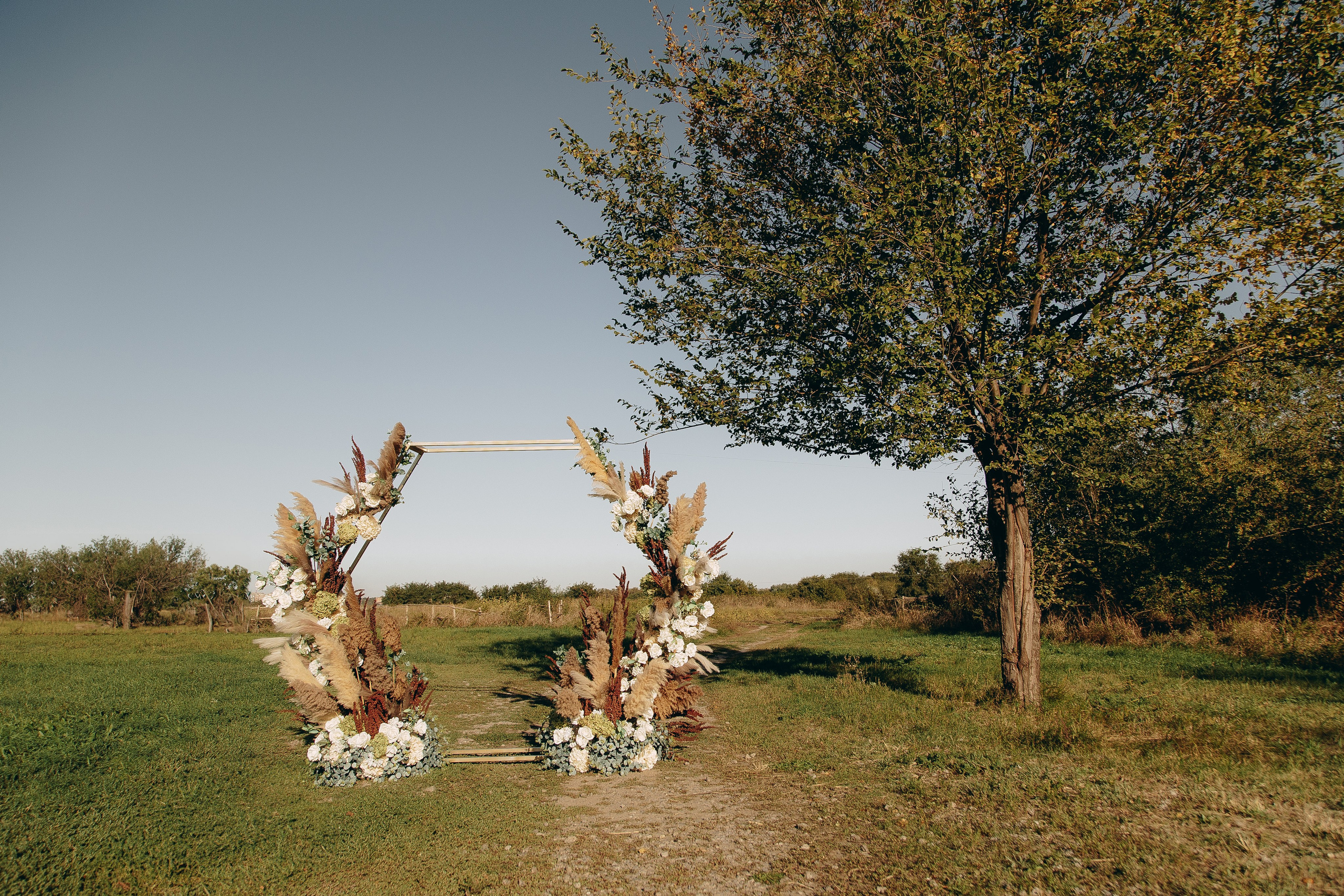 Денис & Виктория. Свадебный фотограф ростов