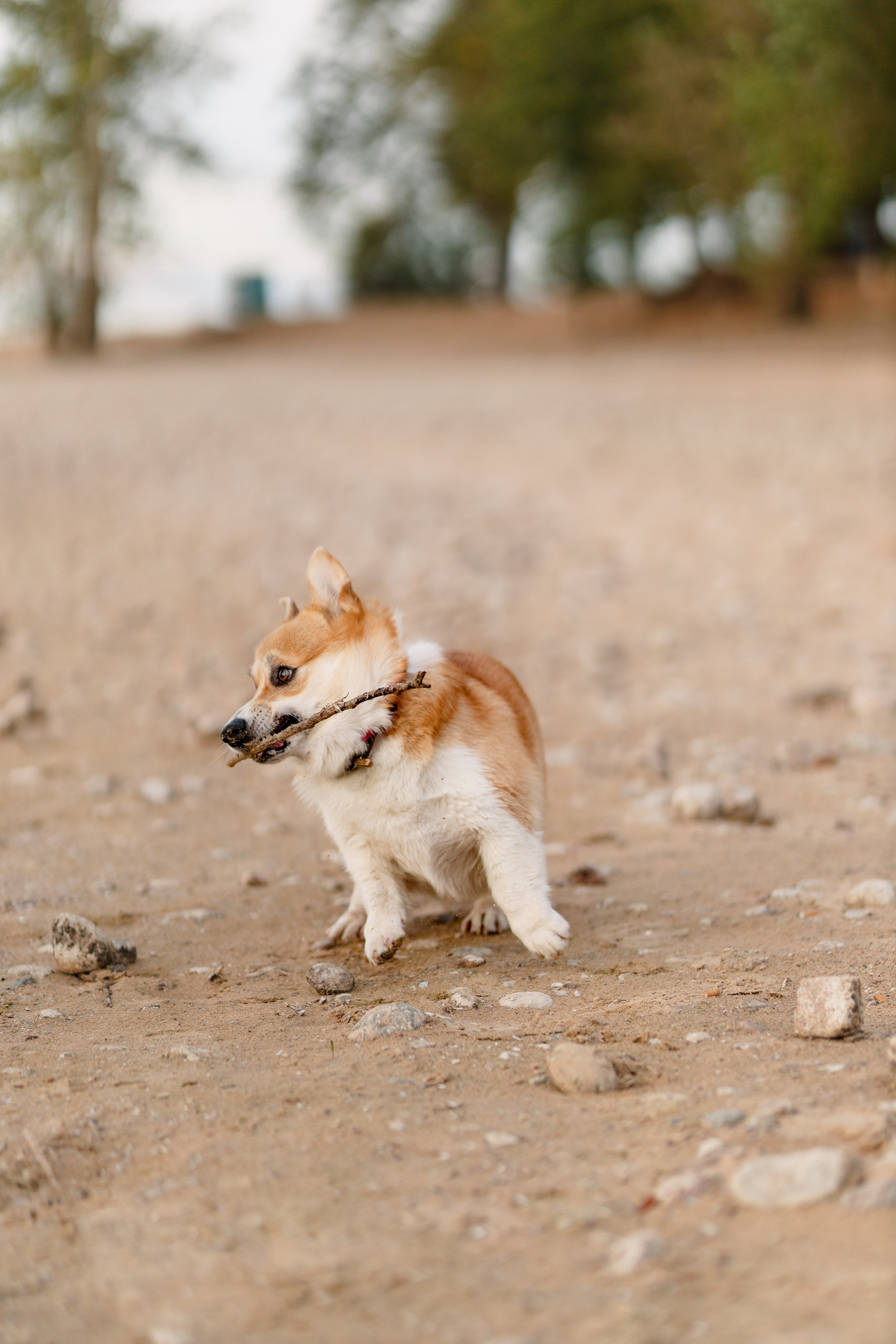 МОРЕ. Cheta Kovalevsky фотографы