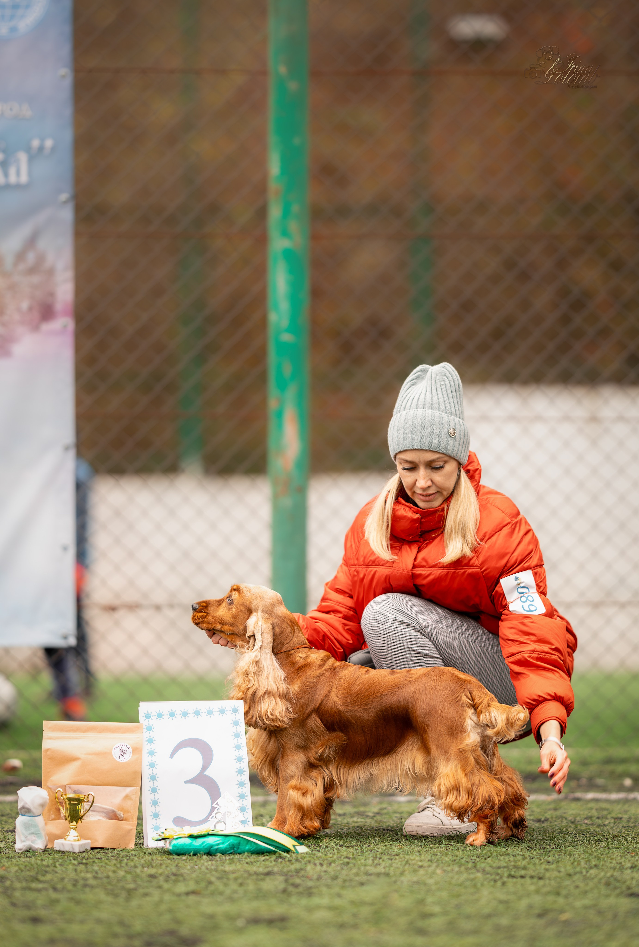 Выставка 17.12.23. Ирина Голомб|Фотограф-анималист в  Сочи и Калининграде