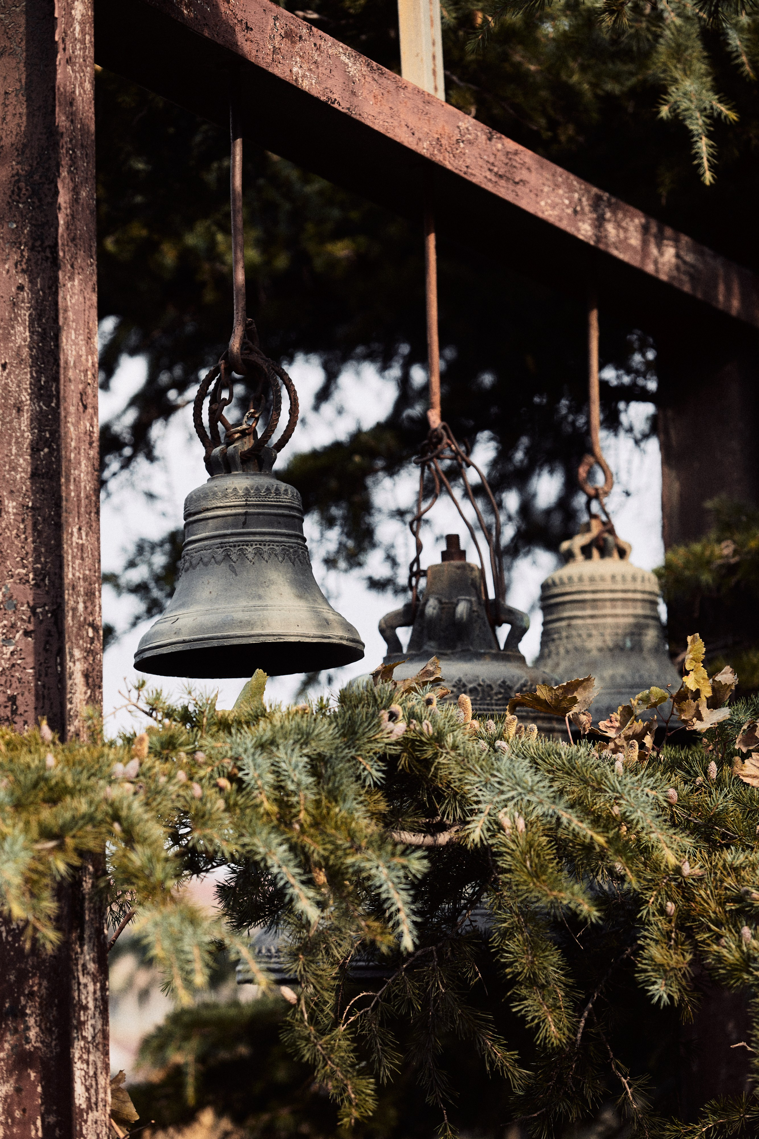 Тбилиси. Фотограф Продюсер в горах КБР / Москва  Нальчик Горы