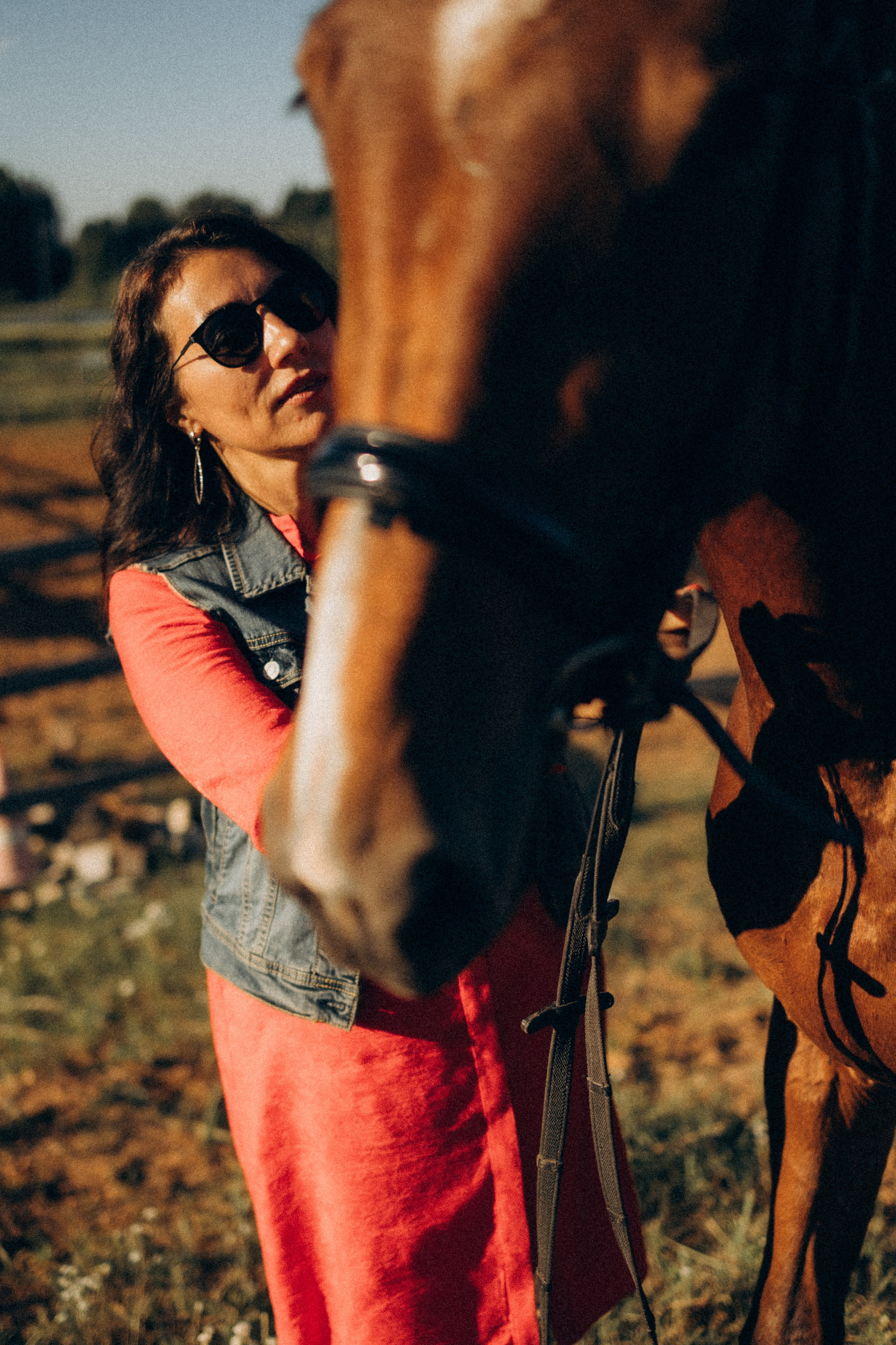 А в деревни лошади. Фотограф Москва Светлана Кирюшина