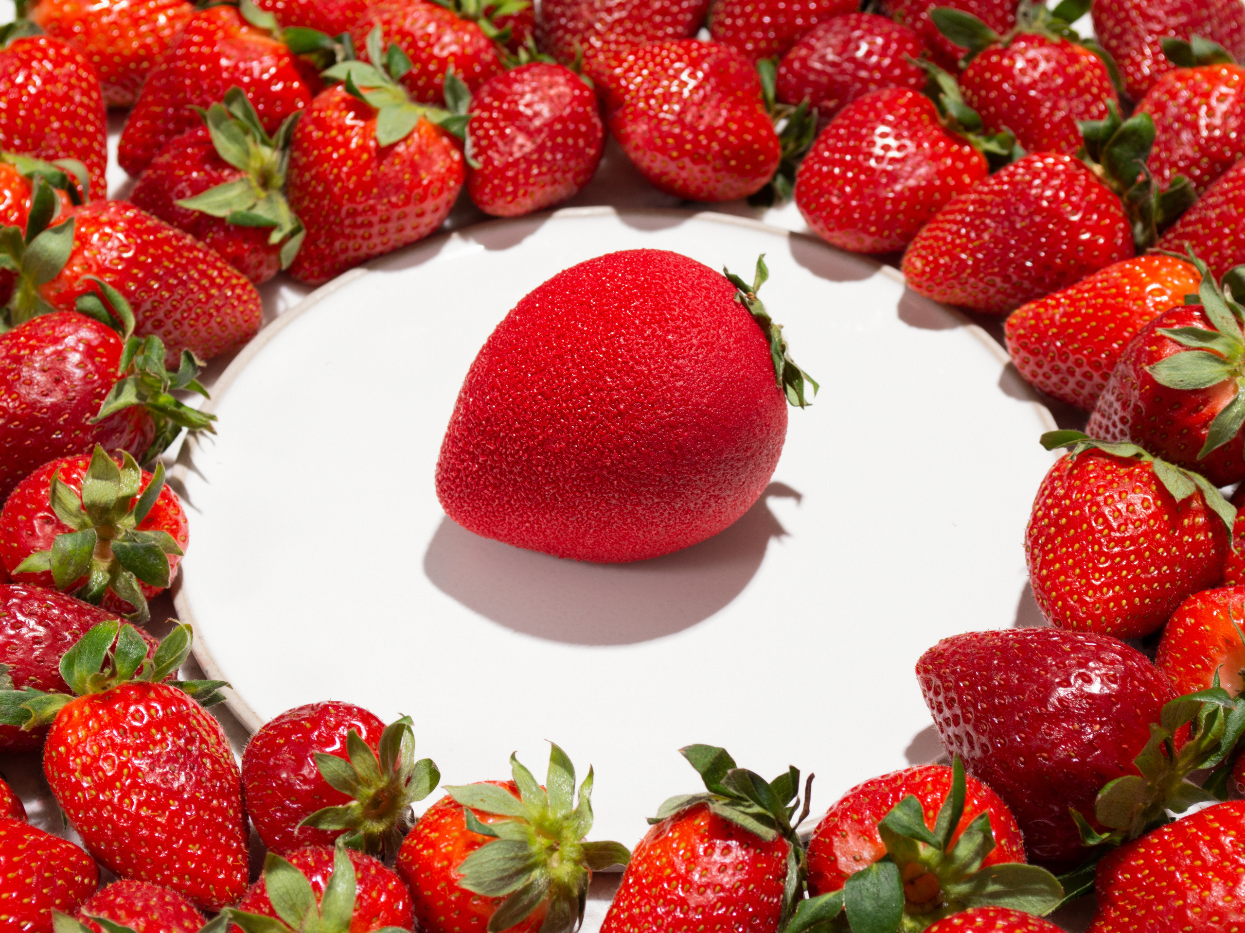 DEQUFO. Предметный фотограф в Москве Софья Боргардт