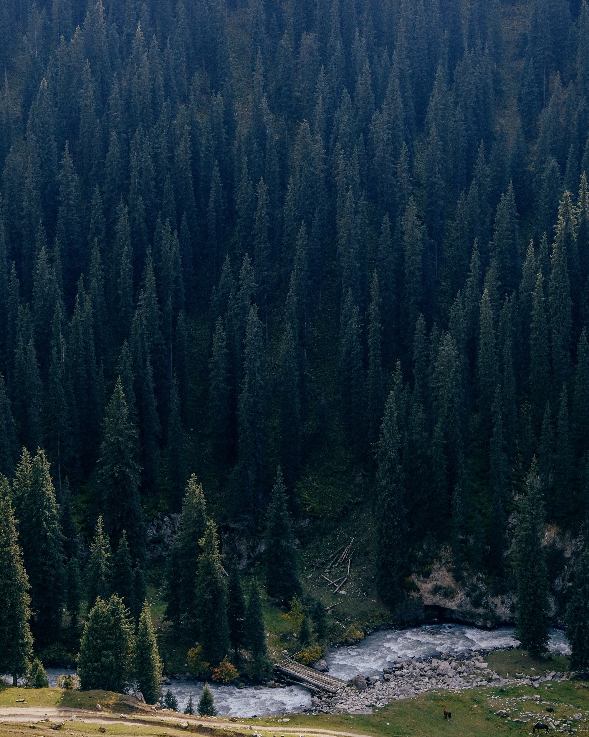 Кыргызстан. Фотограф Дмитрий Олрайт | Калуга, Россия