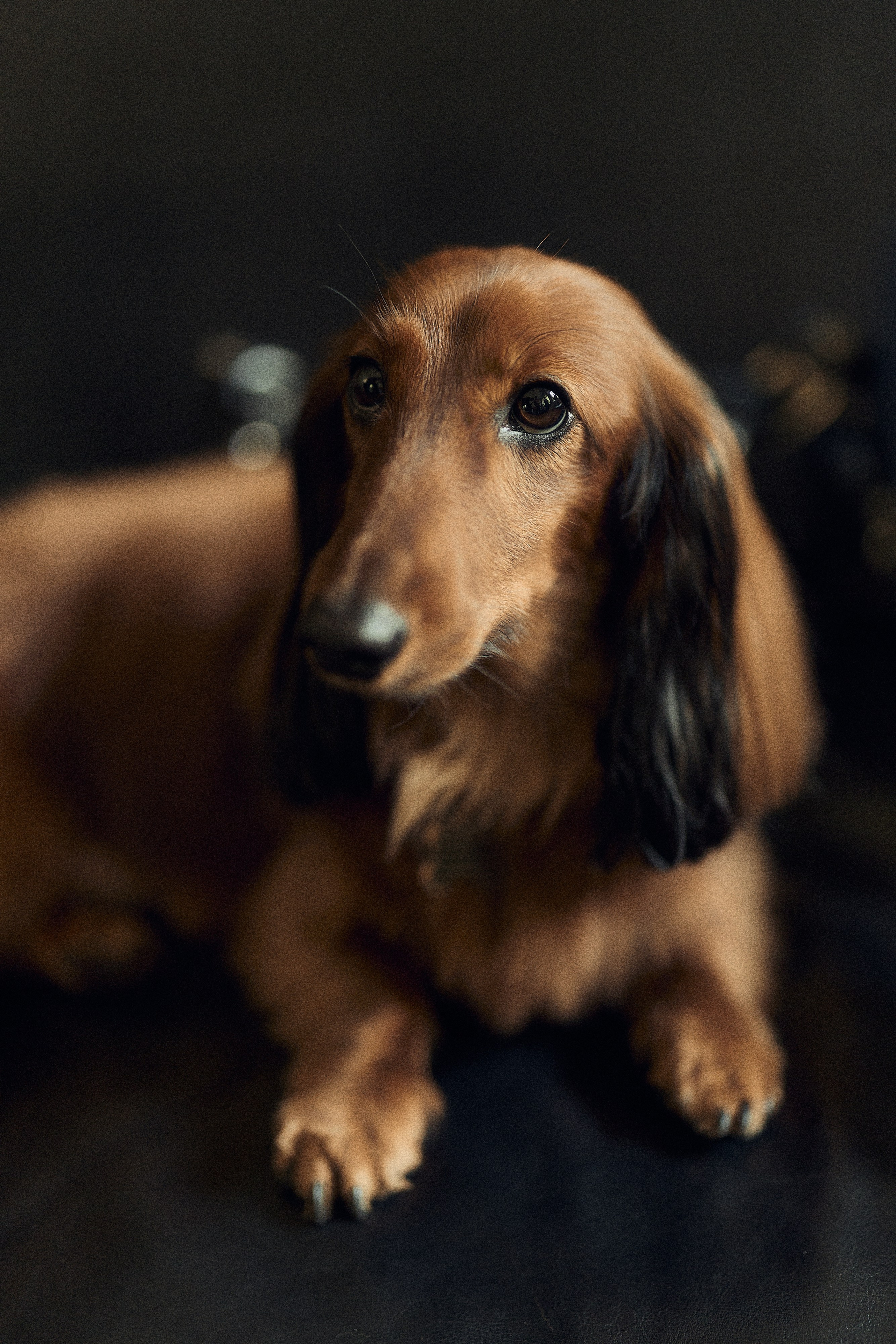 Анастасия и Влад. Свадебный и семейный фотограф в Иваново и Москве Мильков Вадим