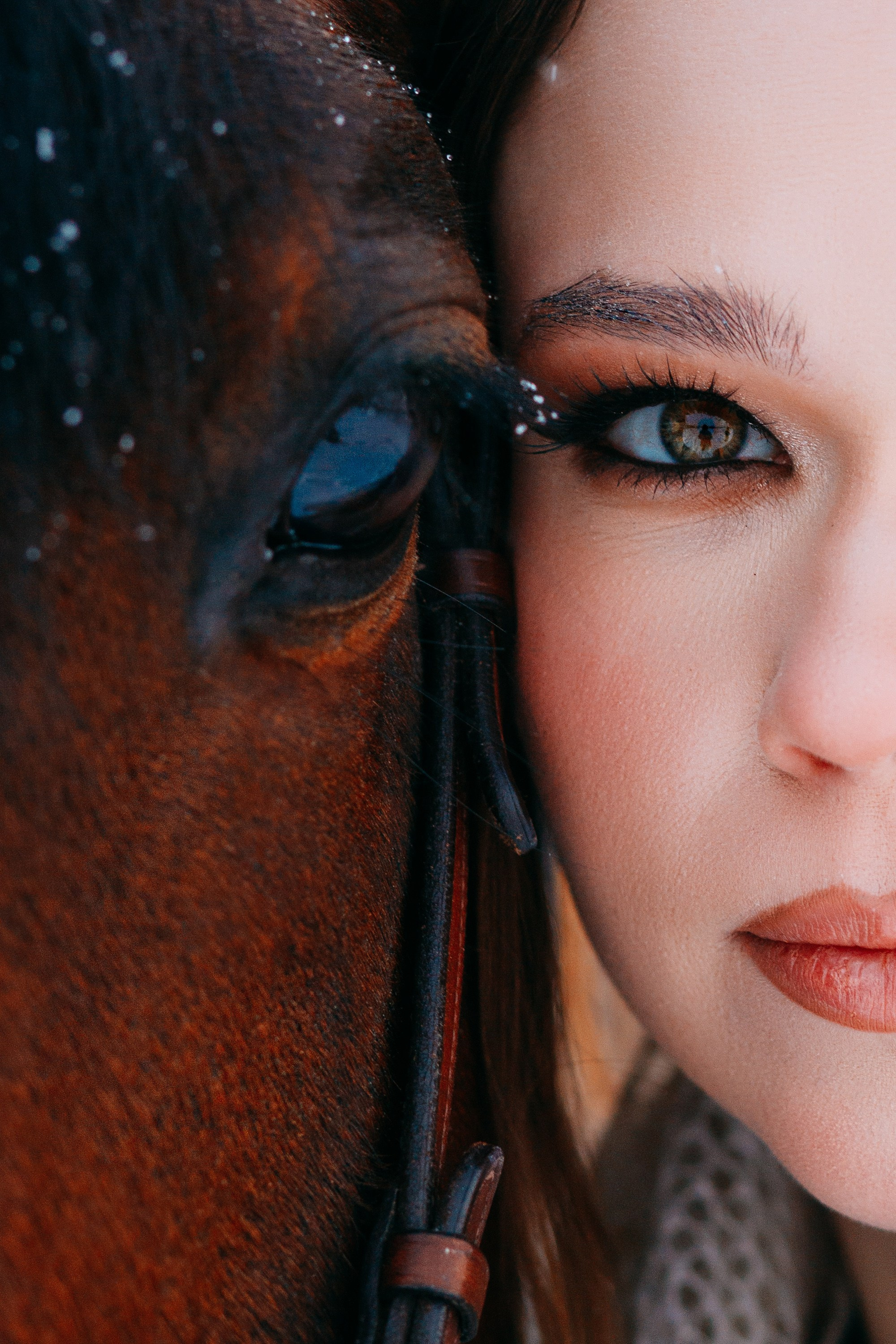 Зимняя фотосессия с лошадкой. Фотограф в Санкт-Петербурге Alina Film