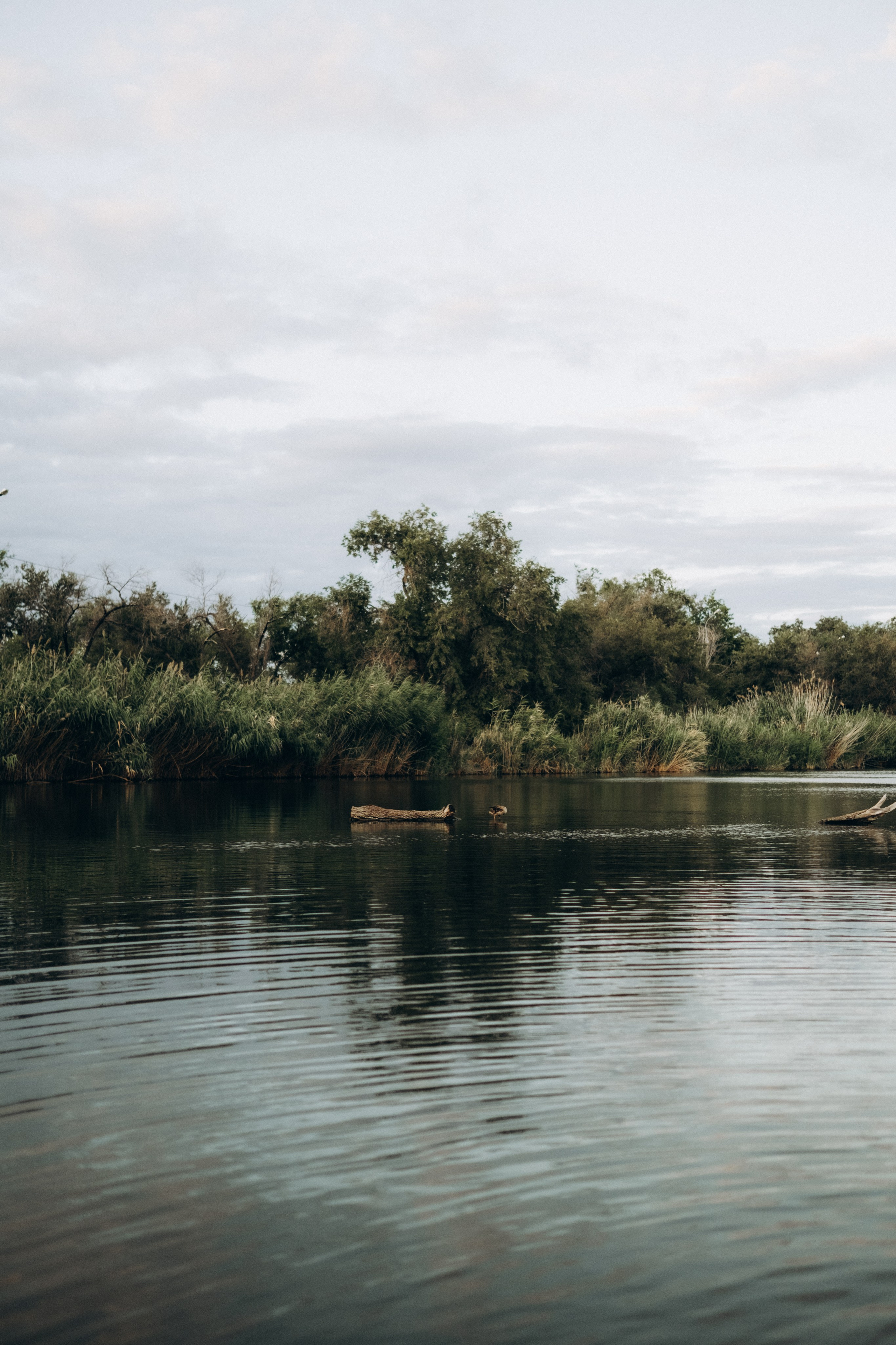 Семейная история на озере Сарпа. Фотограф в Москве Ольга Елоева