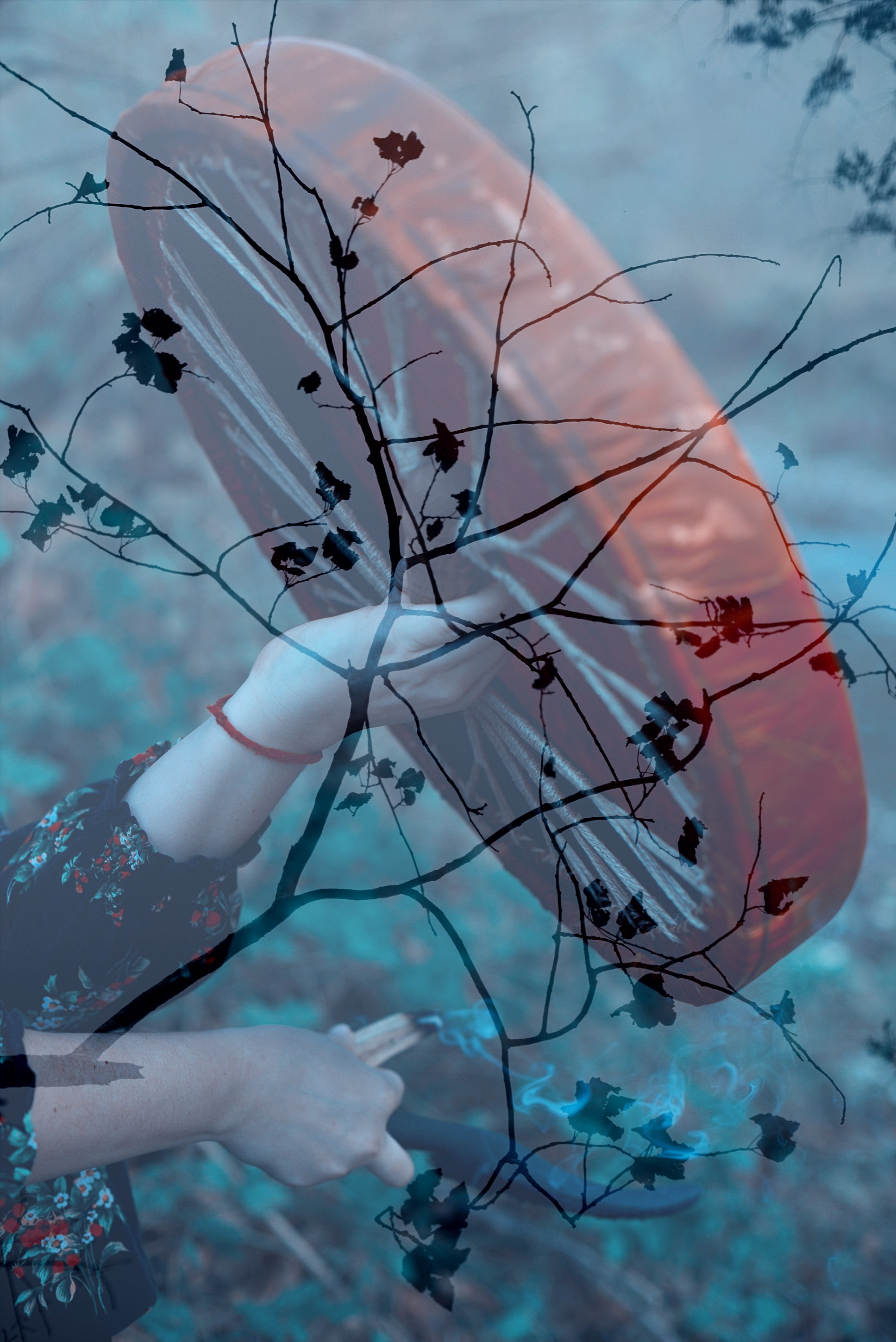 Наталья Грибенникова. Анастасия Либерти