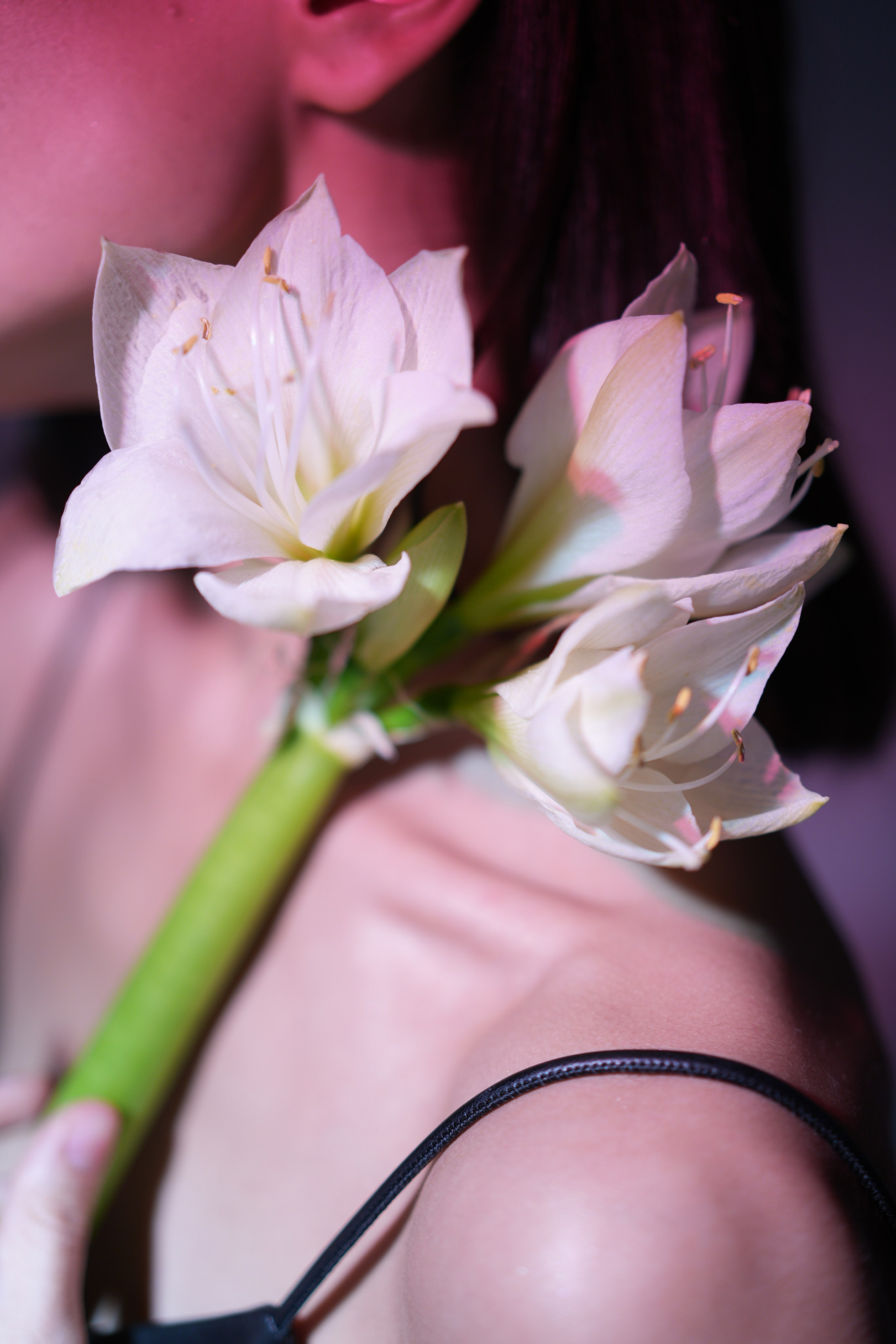 Бренды. Фотограф в Кемерово Дарья Крамер