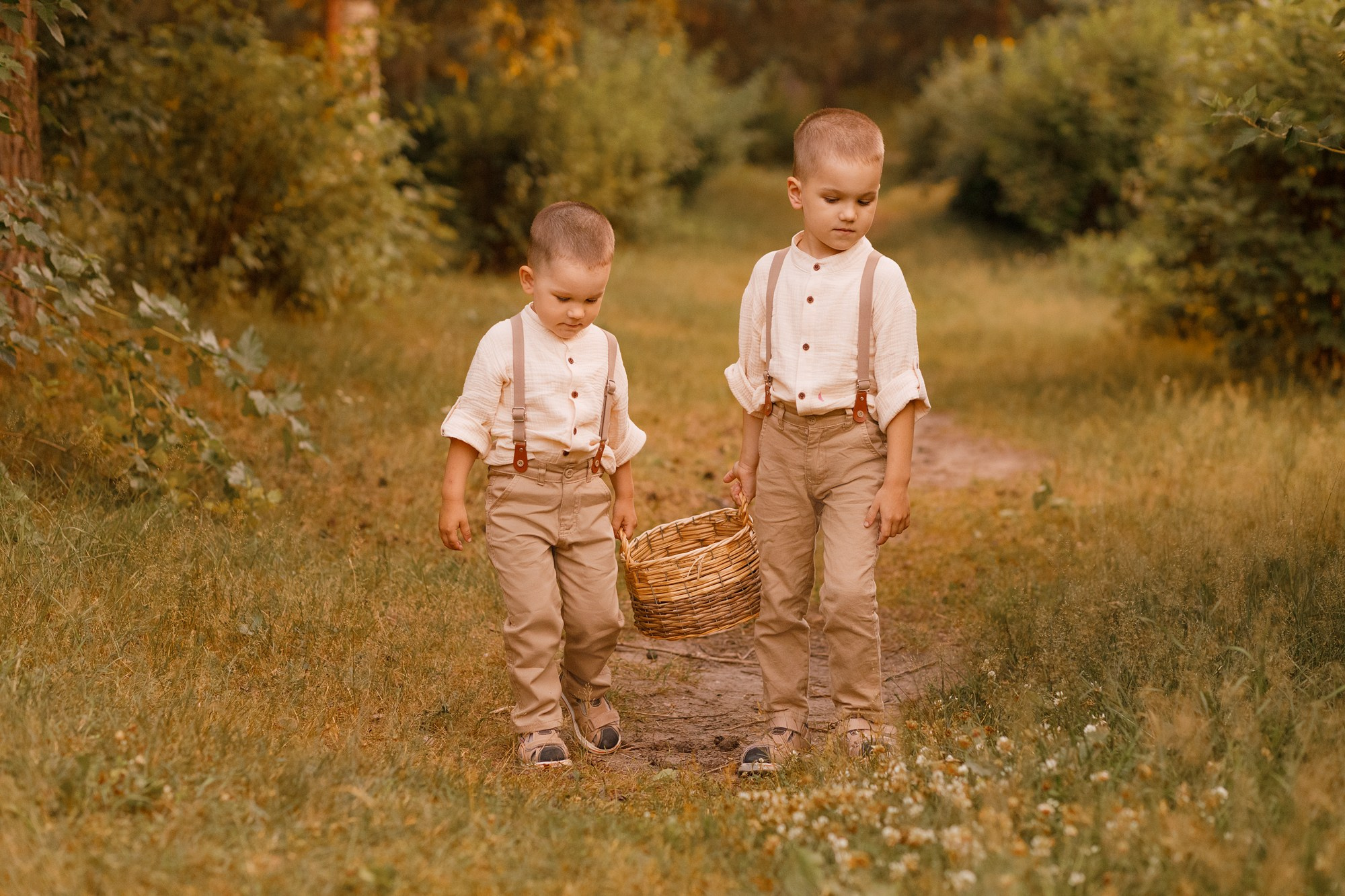 Аскорбиновы. Главная