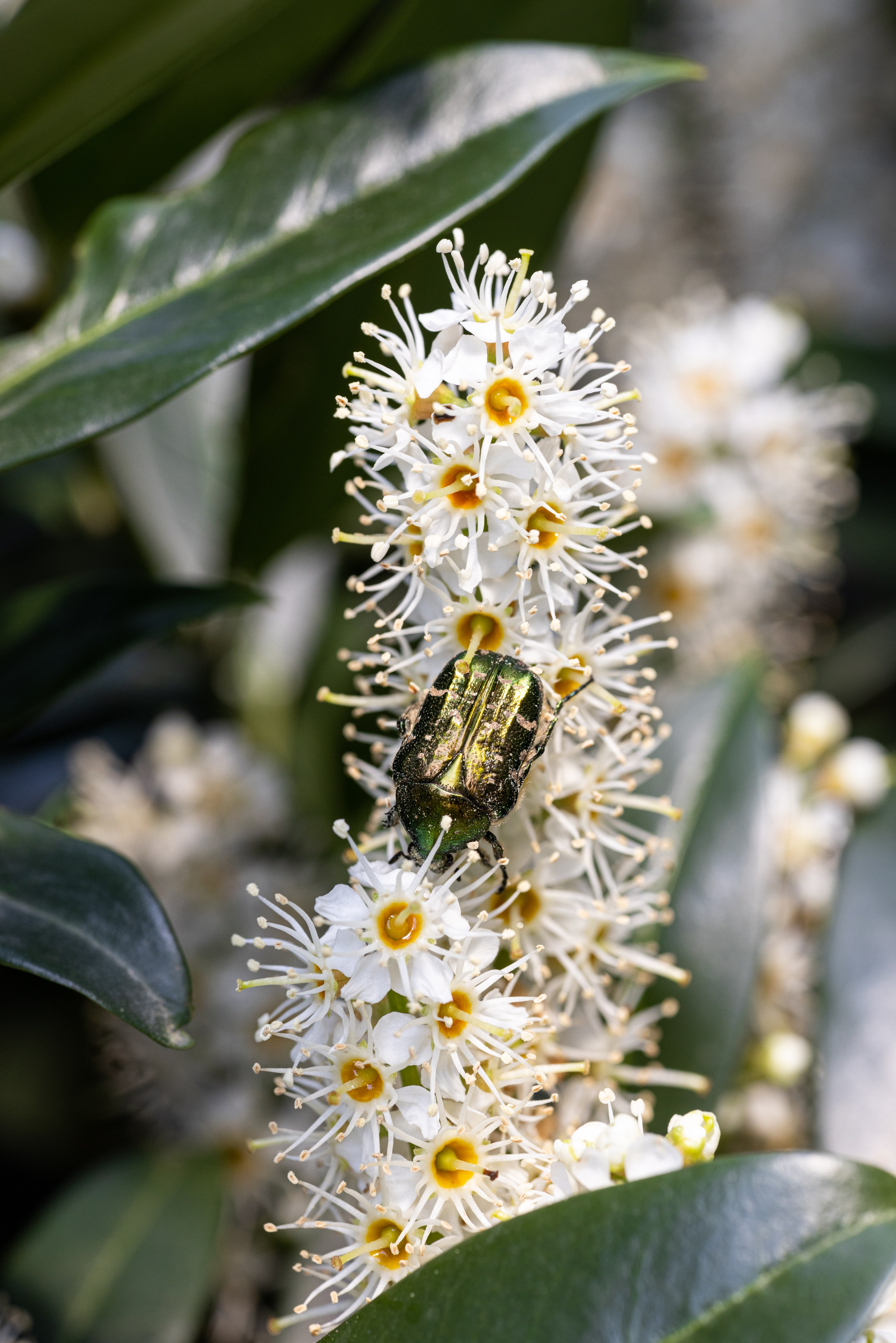 Macro. Фотограф на Юге России