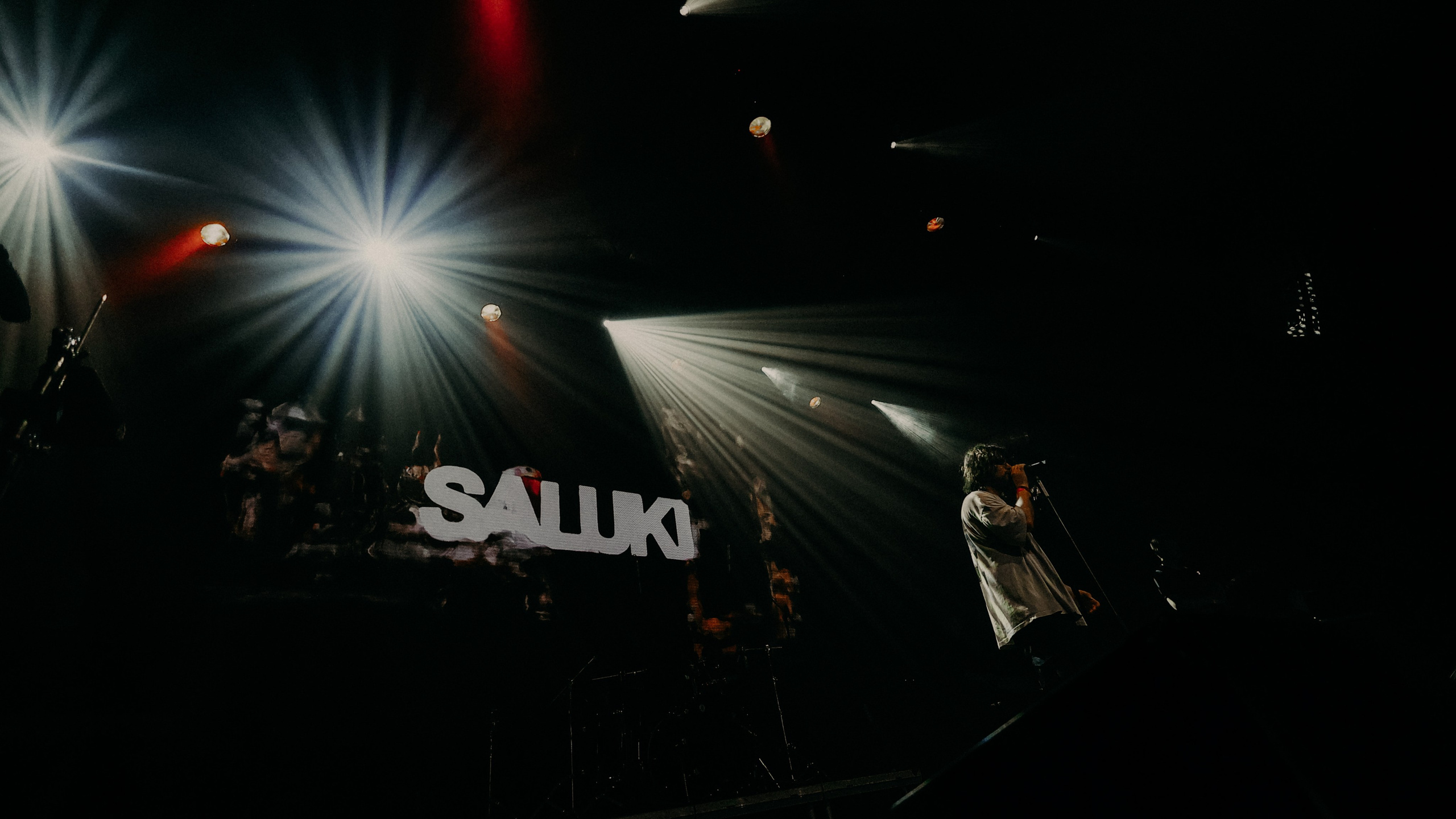 САЛУКИ @1930MOSCOW