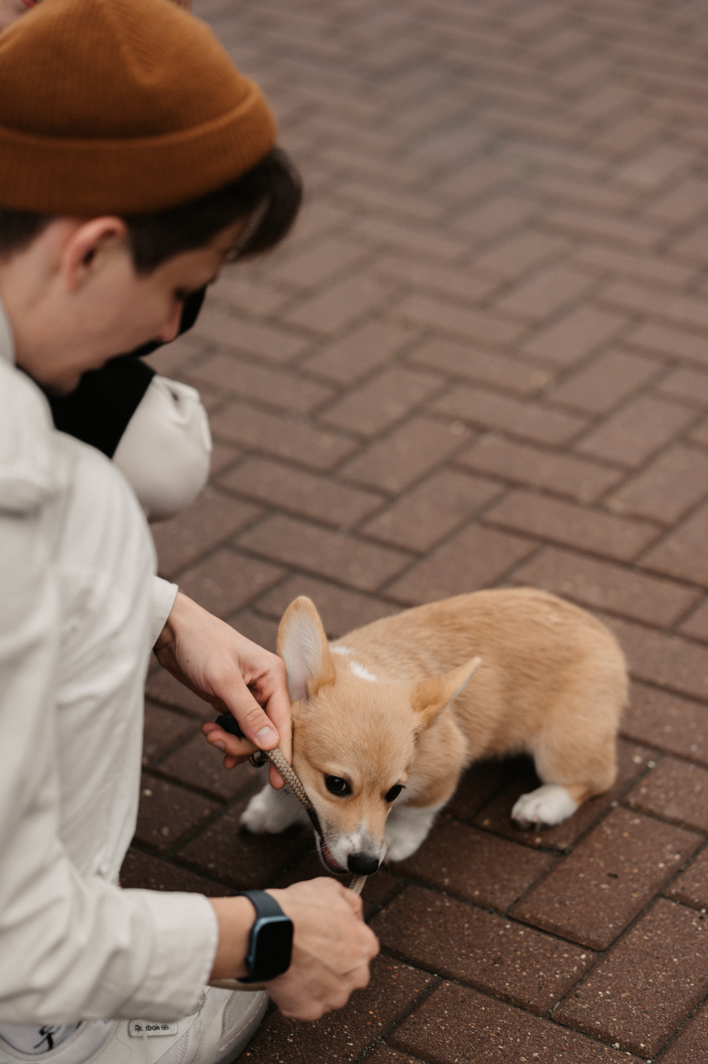 Лю. Свадебный фотограф Александр Давыдов