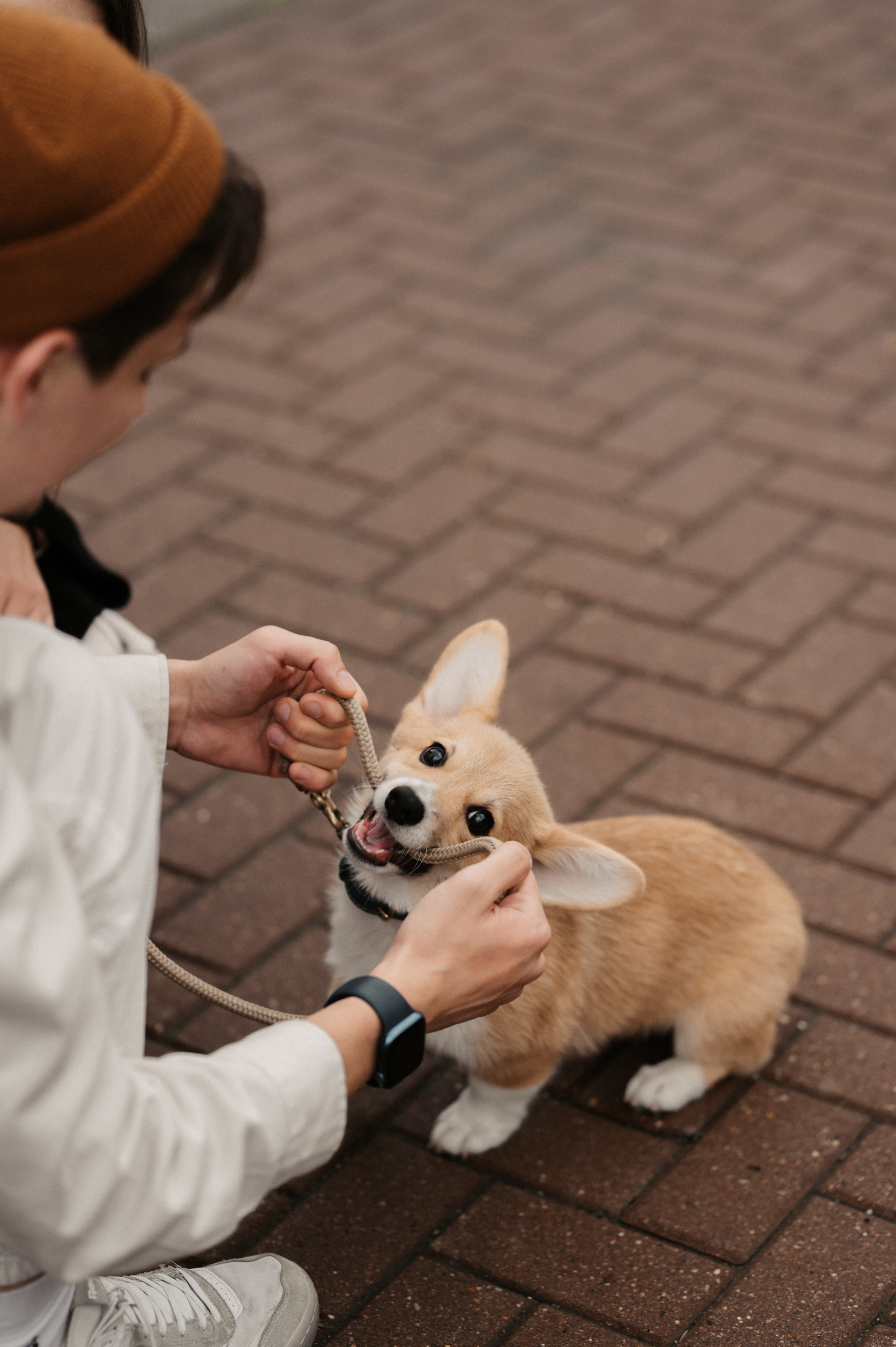 Лю. Свадебный фотограф Александр Давыдов