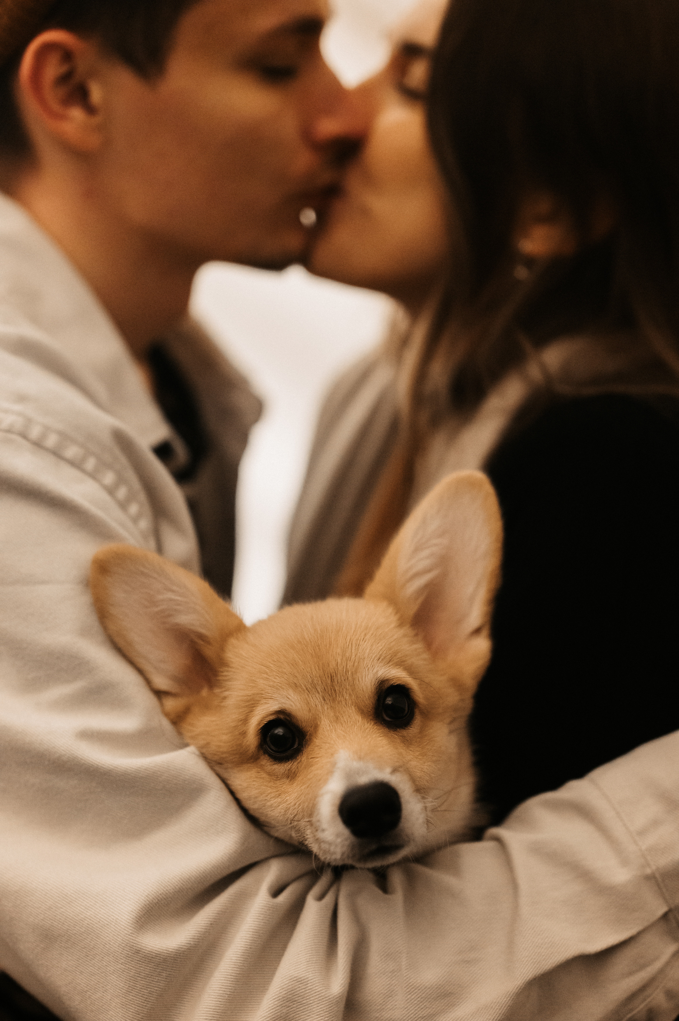 Лю. Свадебный фотограф Александр Давыдов