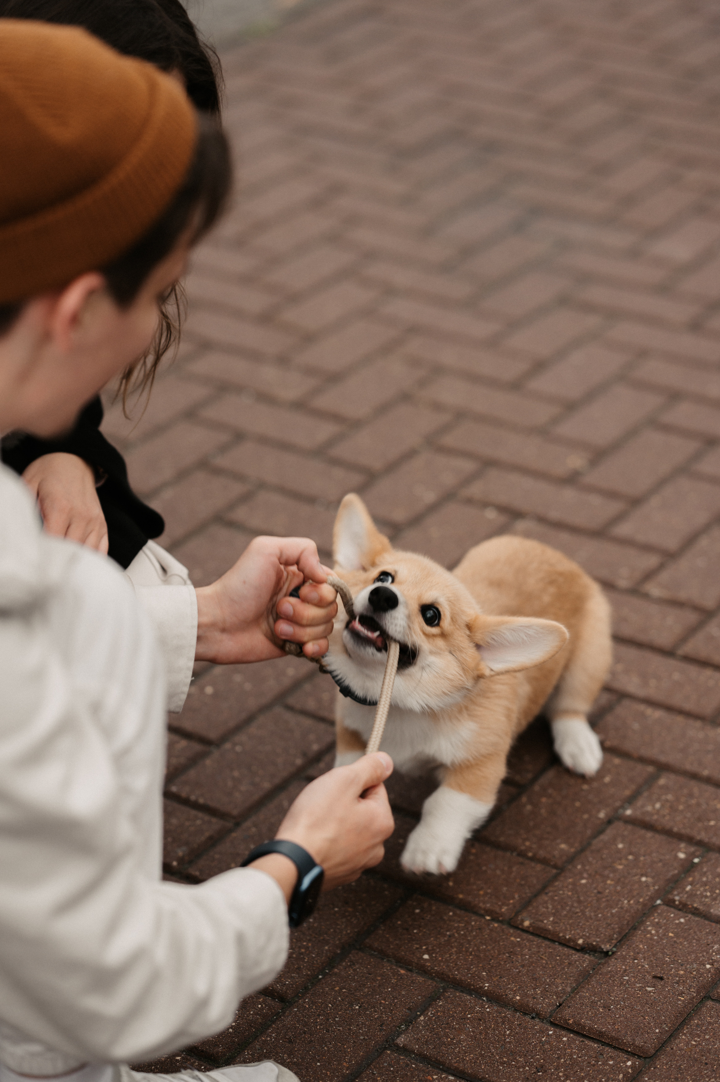 Лю. Свадебный фотограф Александр Давыдов