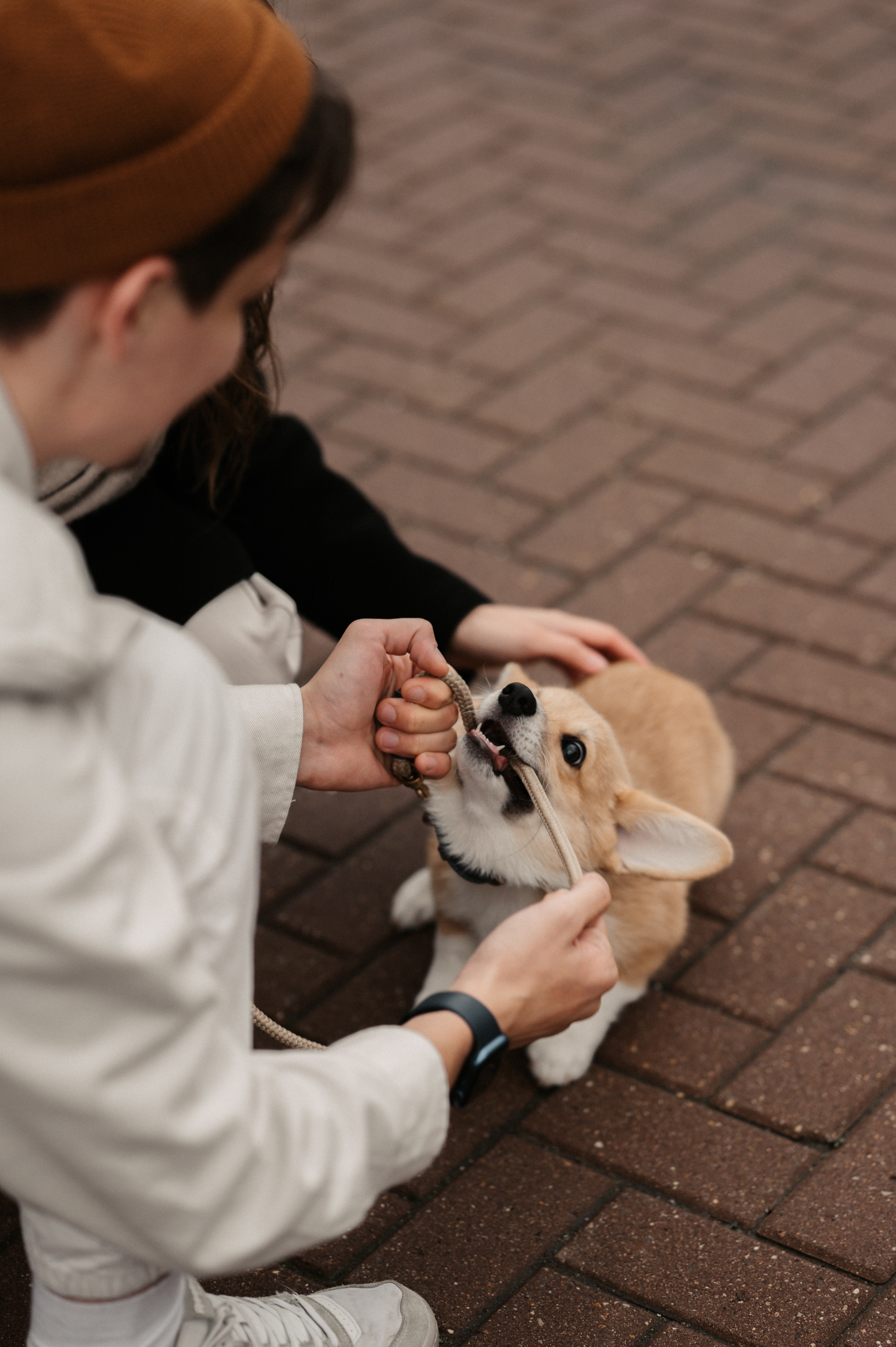 Лю. Свадебный фотограф Александр Давыдов