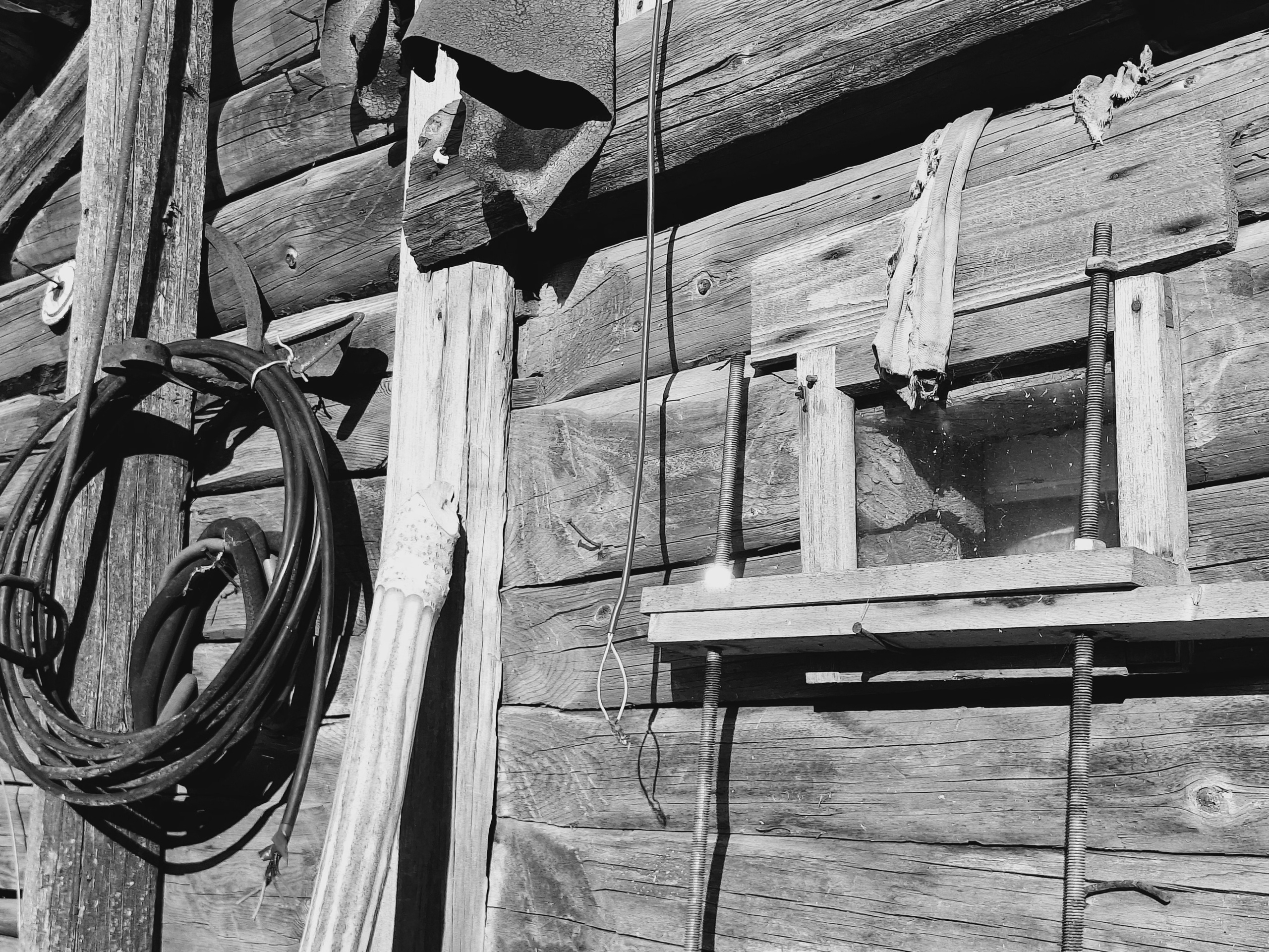 ㅤㅤ. Анна Мильч