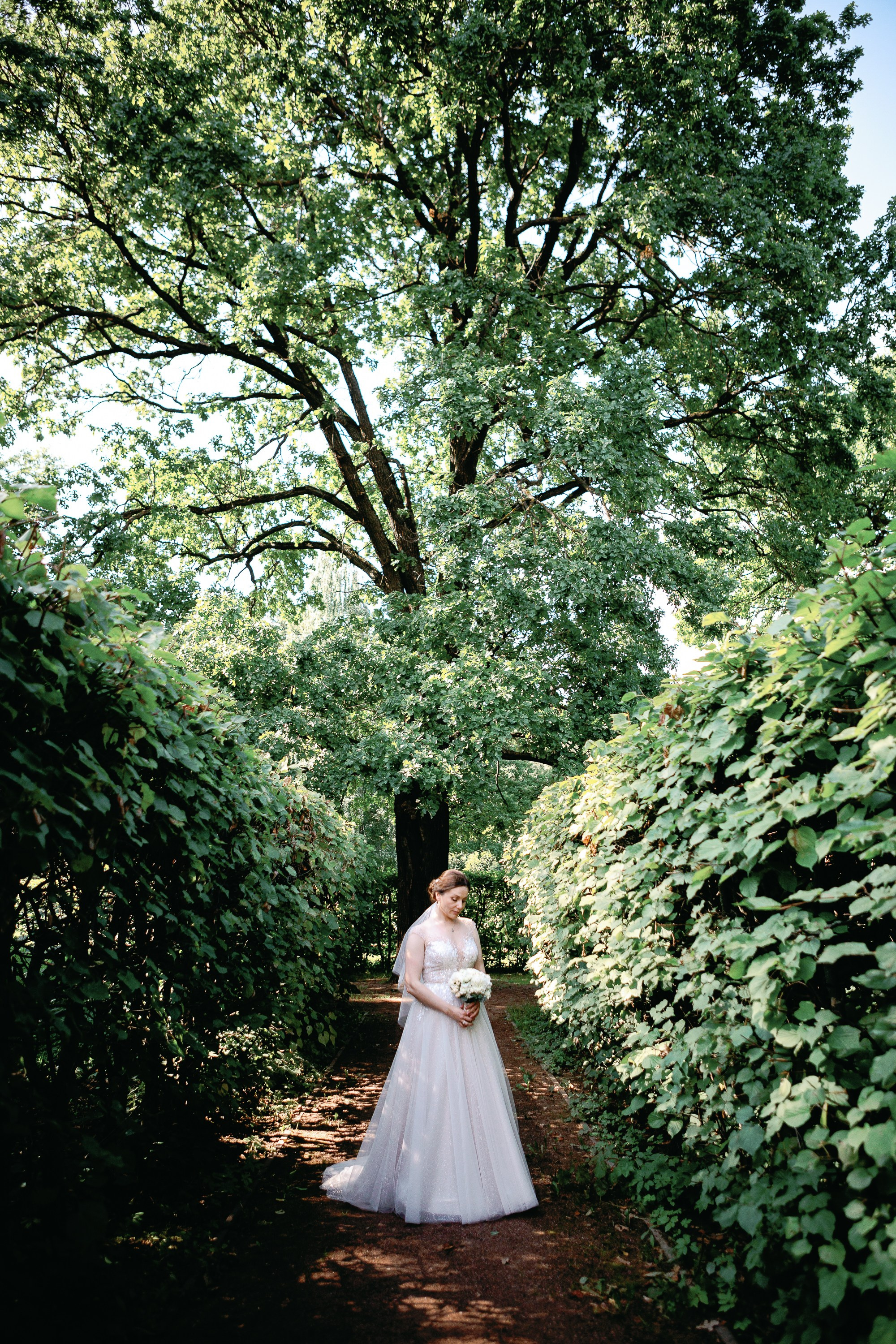 Невеста в свадебном платье стоит под деревом