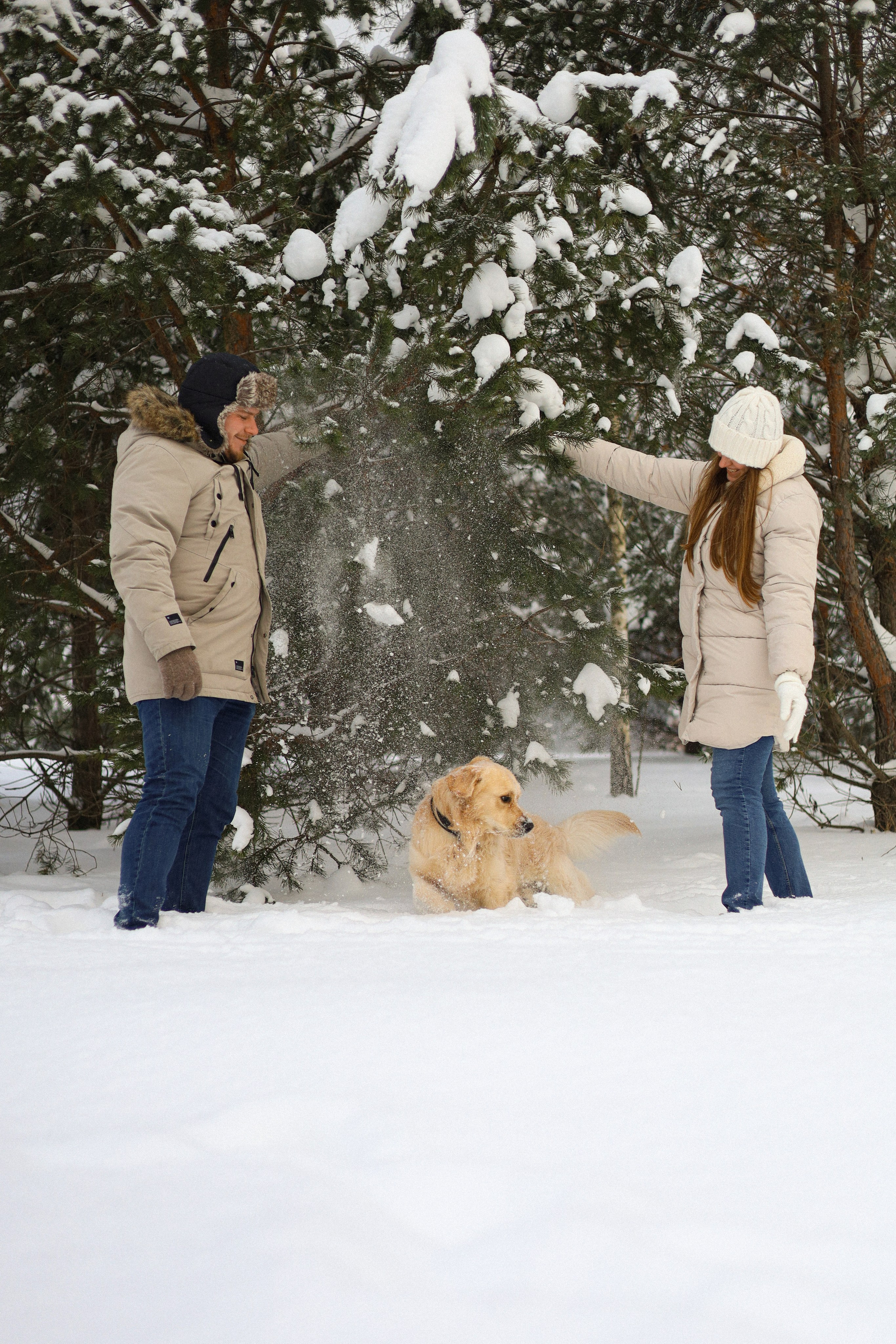 Стивен, Лена и Миша. Фотограф-анималист Ксения Шевцова|Москва