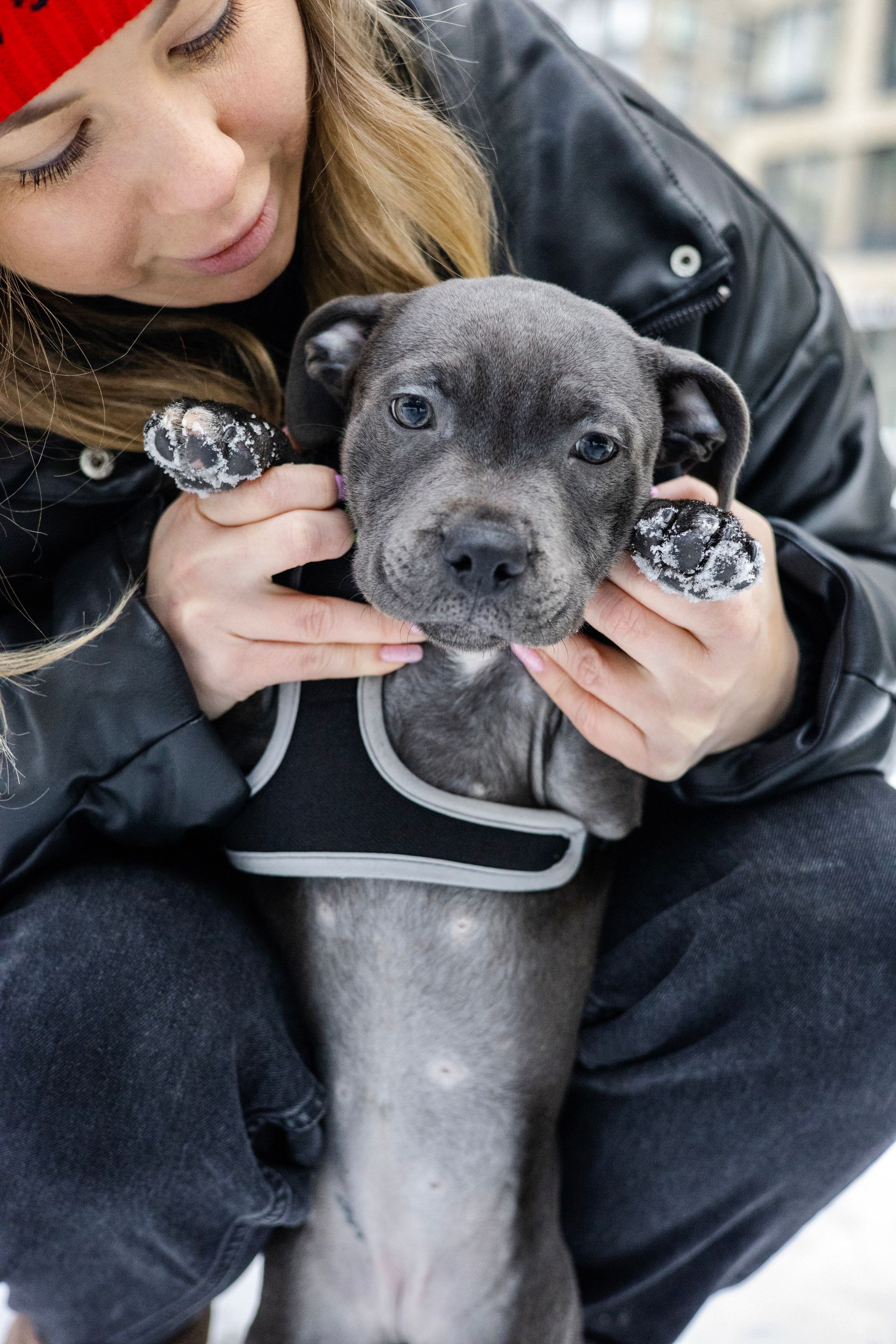 Дарси, Тимур и Юля. Фотограф-анималист Ксения Шевцова|Москва