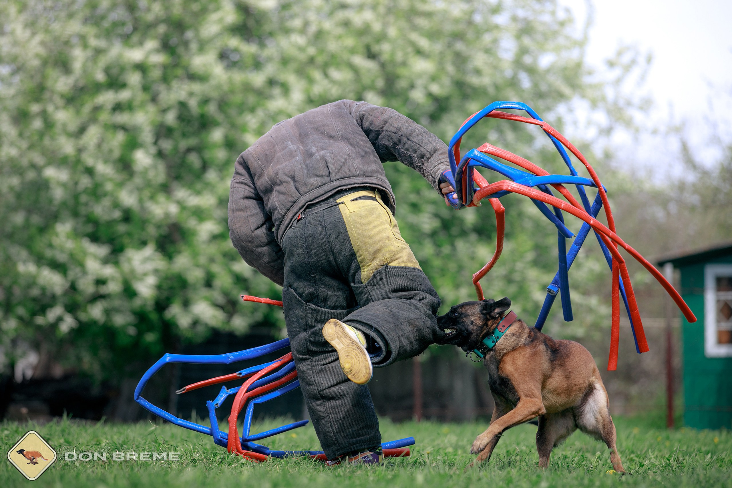 Семинар для фигурантов, день 4. Фотограф-анималист Mary Mart — Москва, Питер