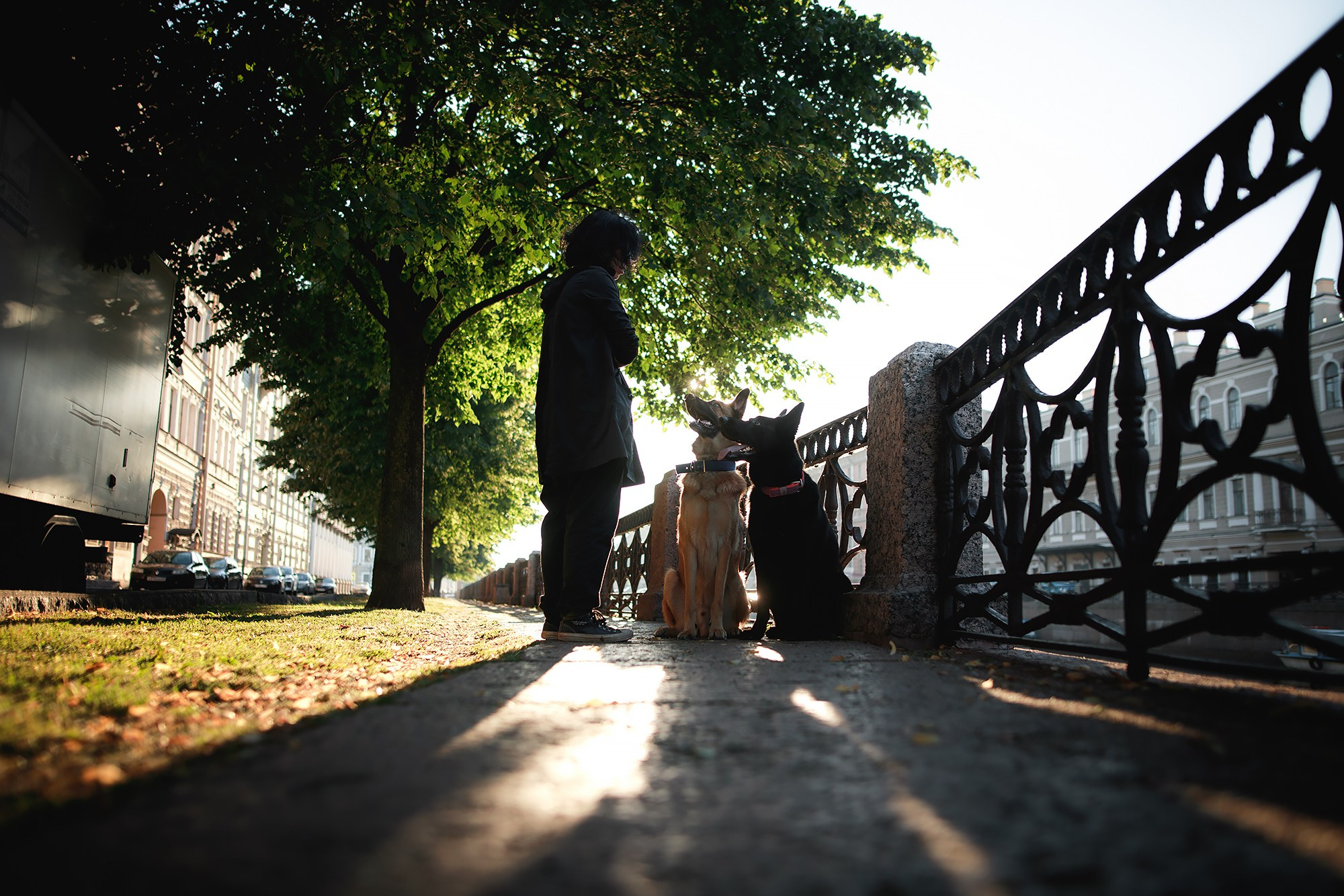 Алена, Кай и Мара. Фотограф-анималист Mary Mart — Москва, Питер