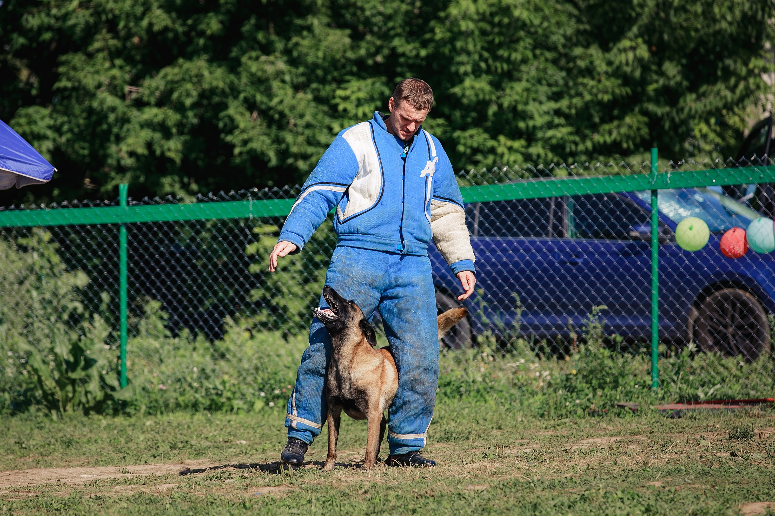 Мондьоринг М1, М2, М3, Вологда. Фотограф-анималист Mary Mart — Москва, Питер