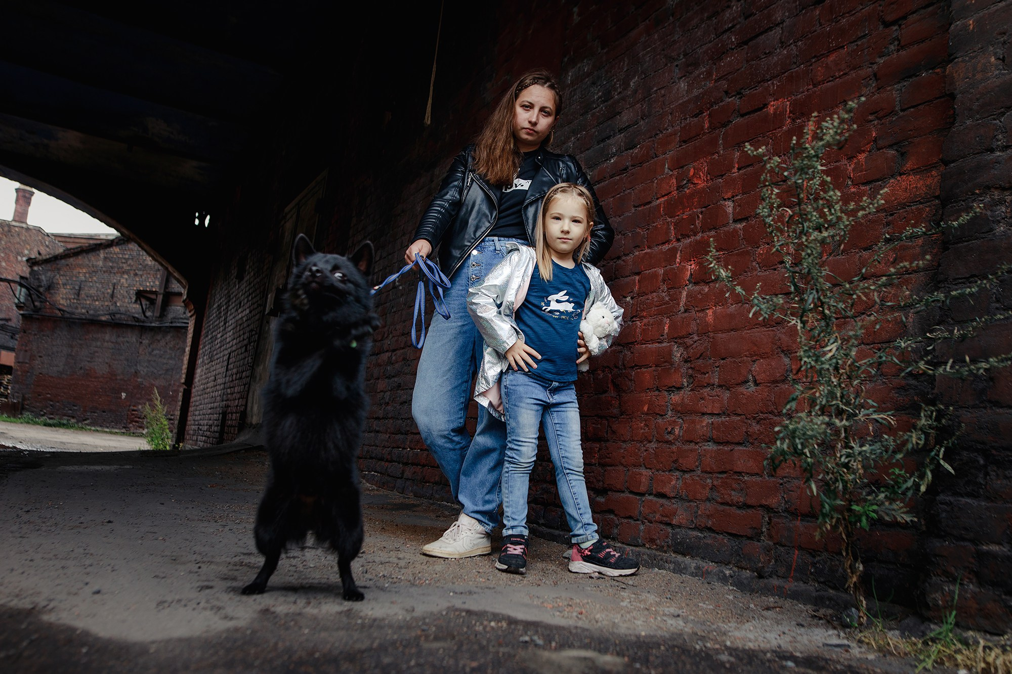Саша, Маша и шипперке Йети. Фотограф-анималист Mary Mart — Москва, Питер