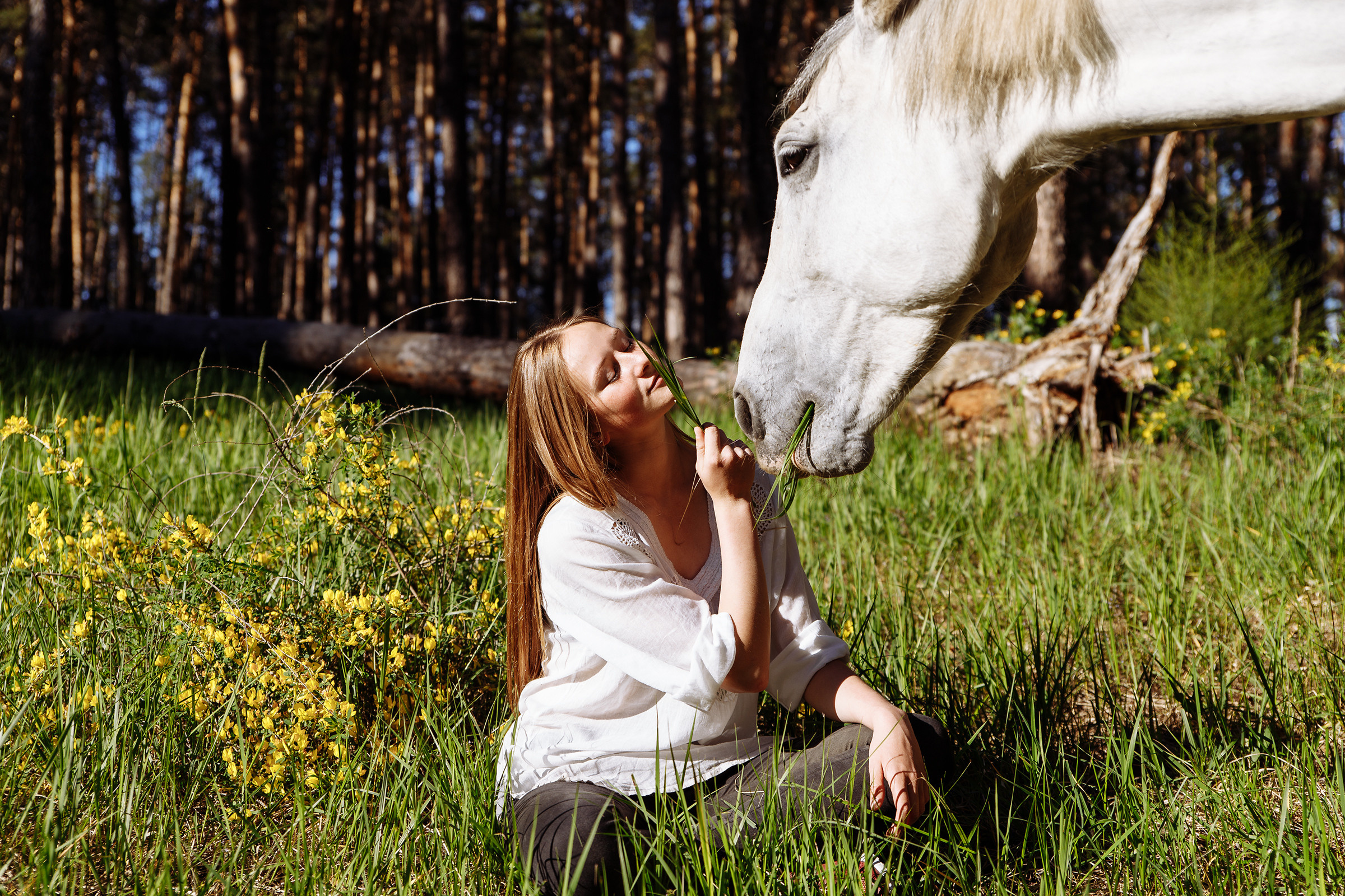 Лена и лошади. Свадебный фотограф в Самаре и Тольятти Полина Никитина