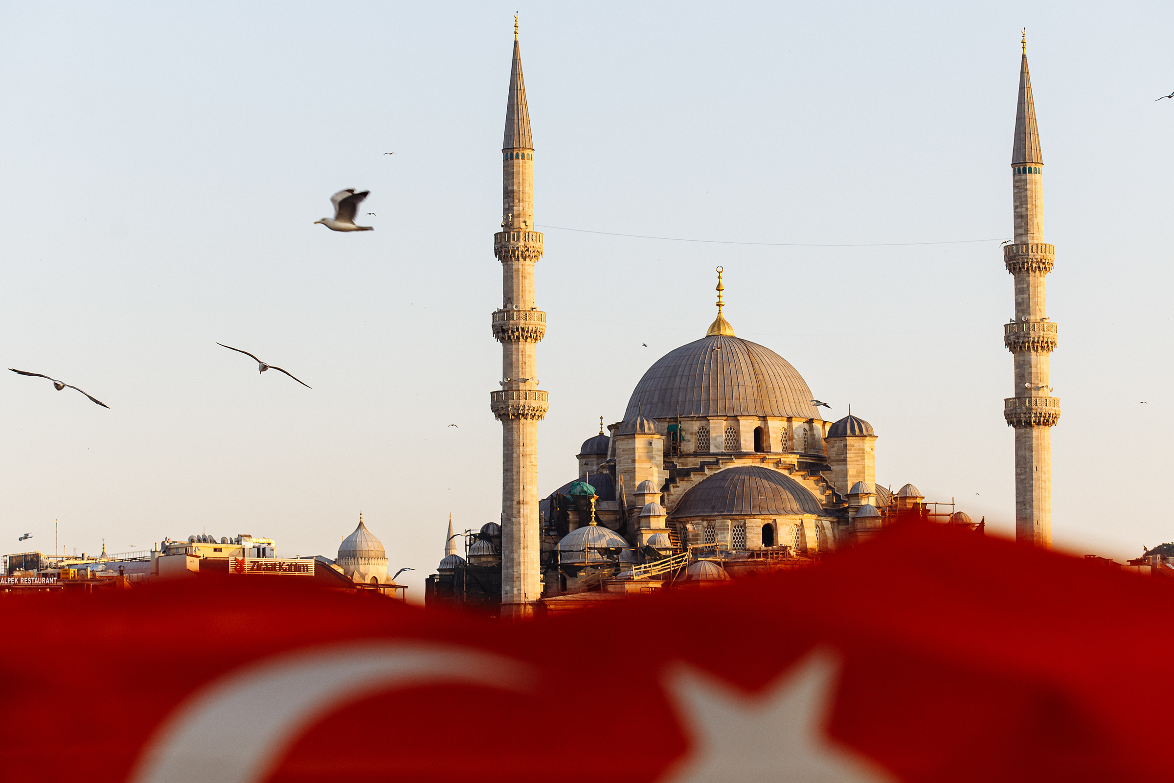 Мухоморы. Свадебный фотограф в Самаре и Тольятти Полина Никитина