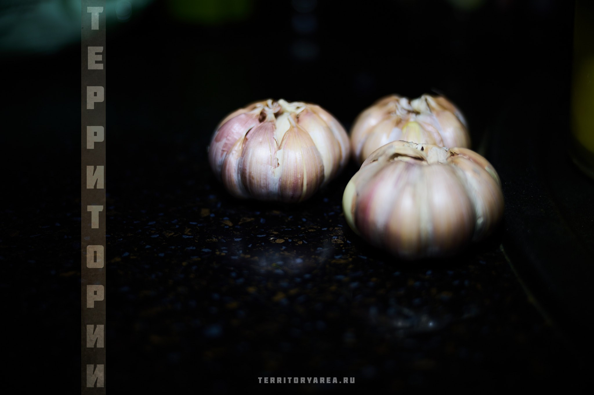 Открытки фотопроекта «Территории». Фотопроект «Территории»