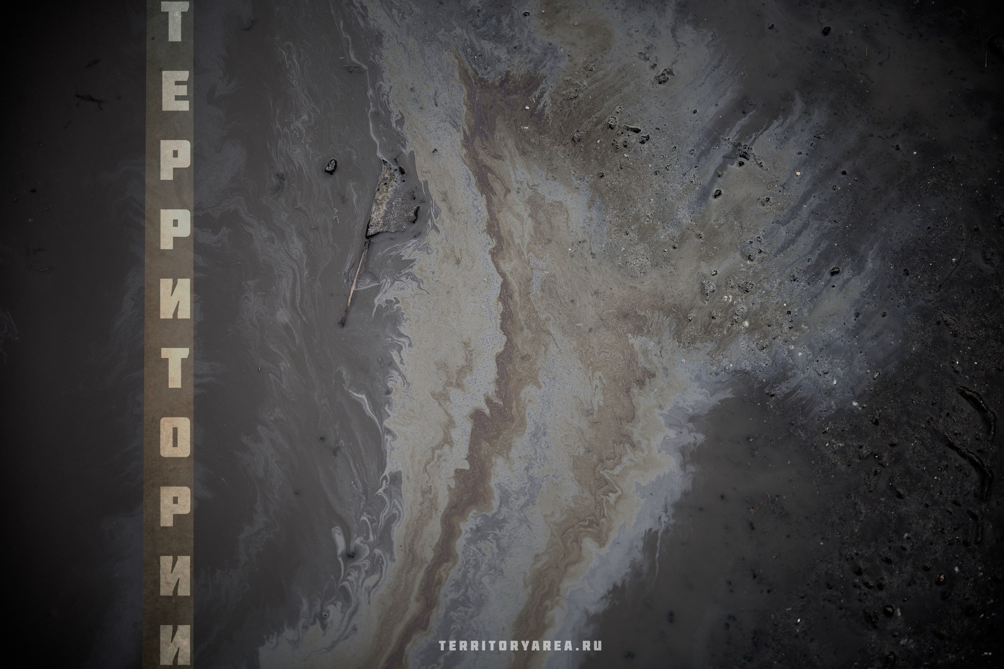 Открытки фотопроекта «Территории». Фотопроект «Территории»