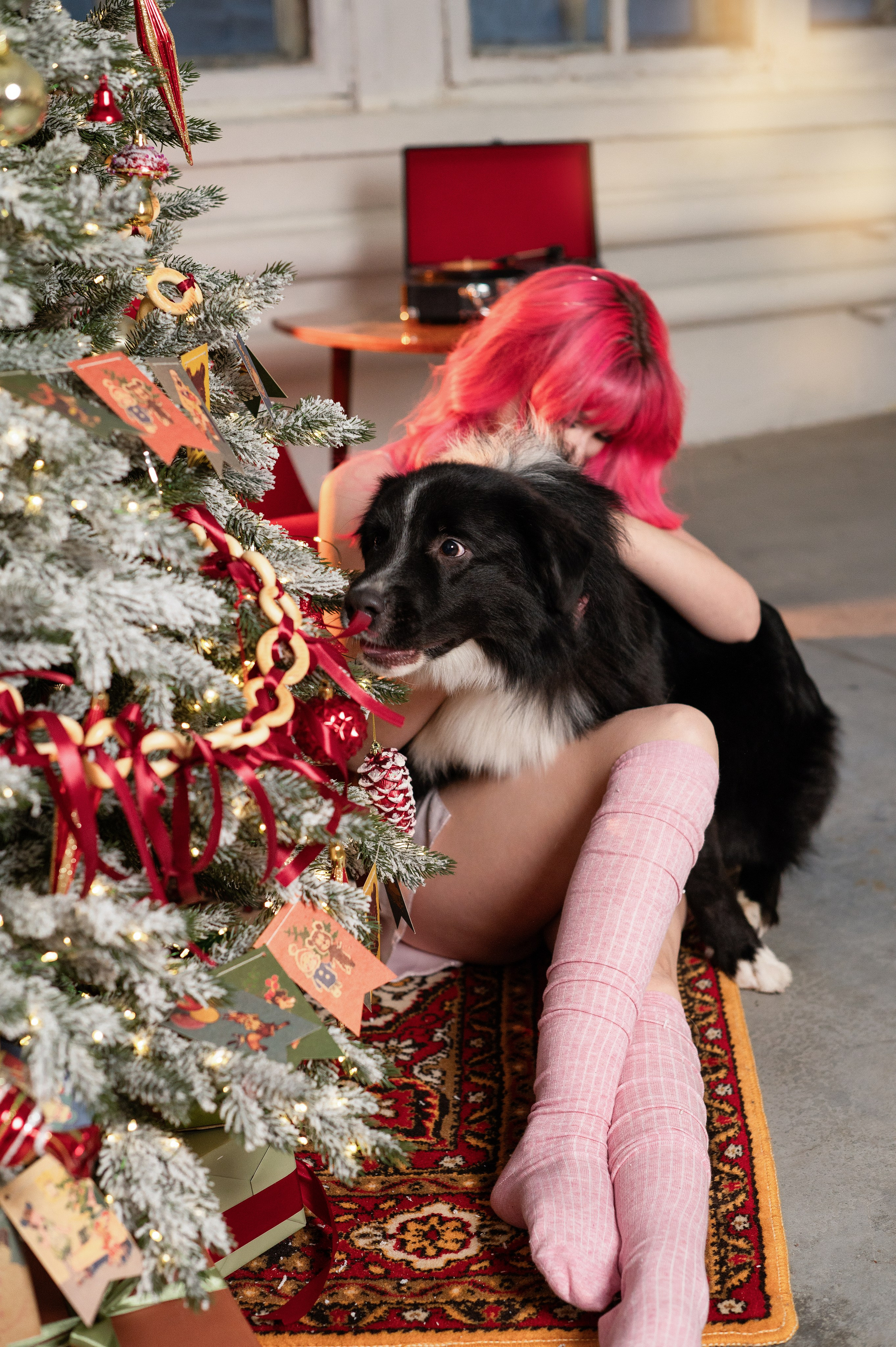 Фотодень с Австралийской овчаркой. Творческий фотограф Вологда