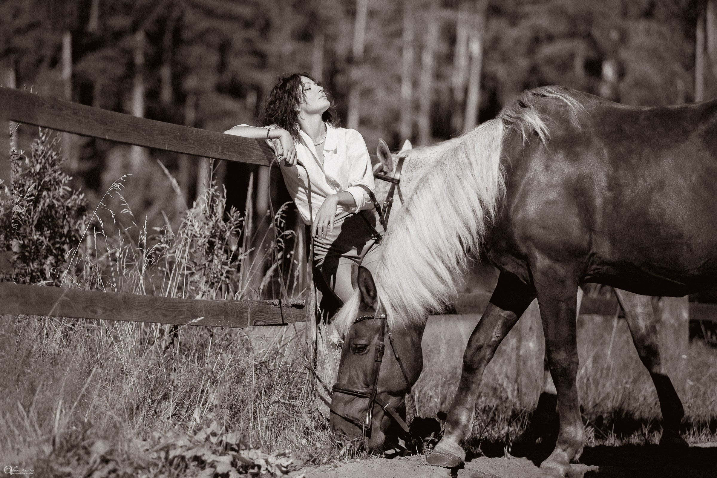 Фотосессия с лошадьми в катри-стиле. Фотограф женский и мужской портрет Санкт-Петербург