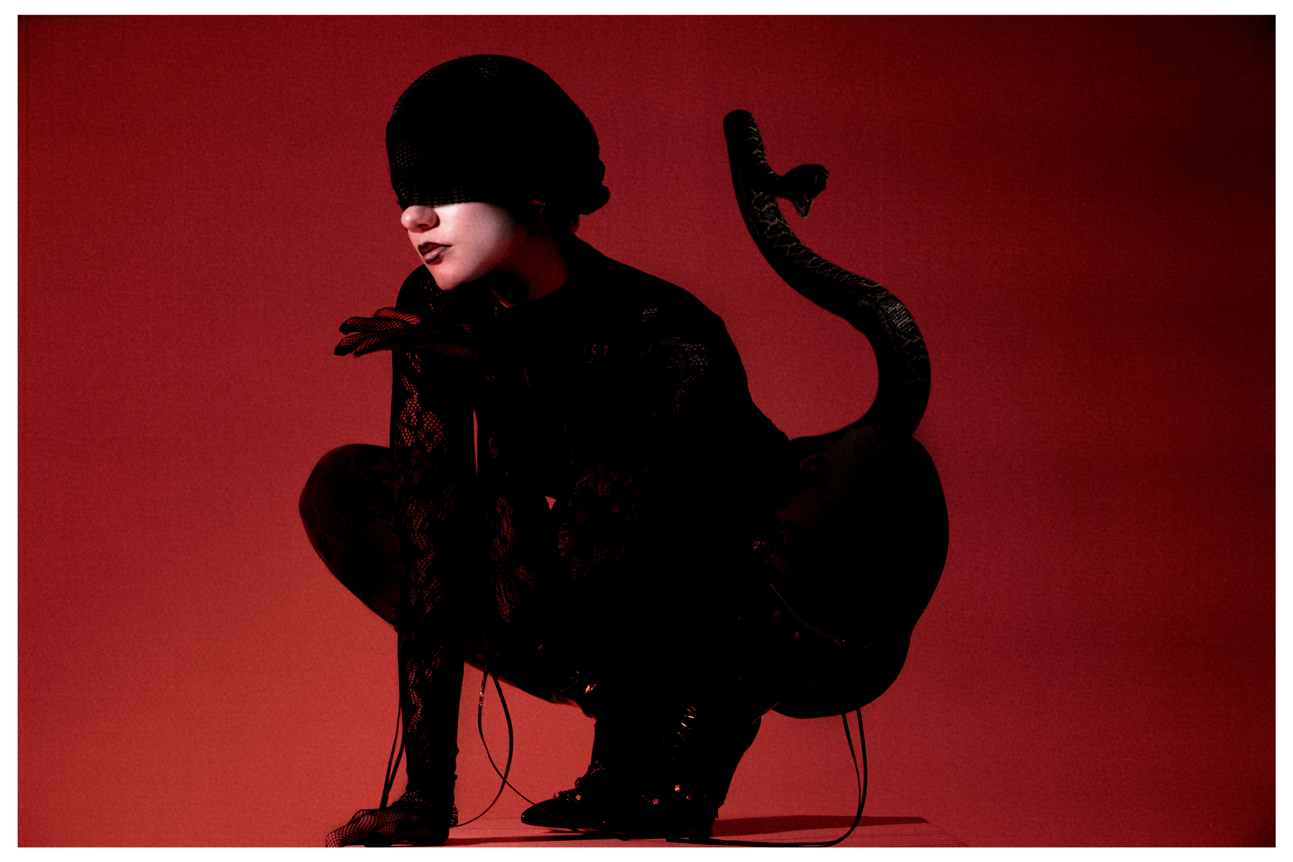 Swallow. Kinzie|Концептуальный фотограф Екатеринбург