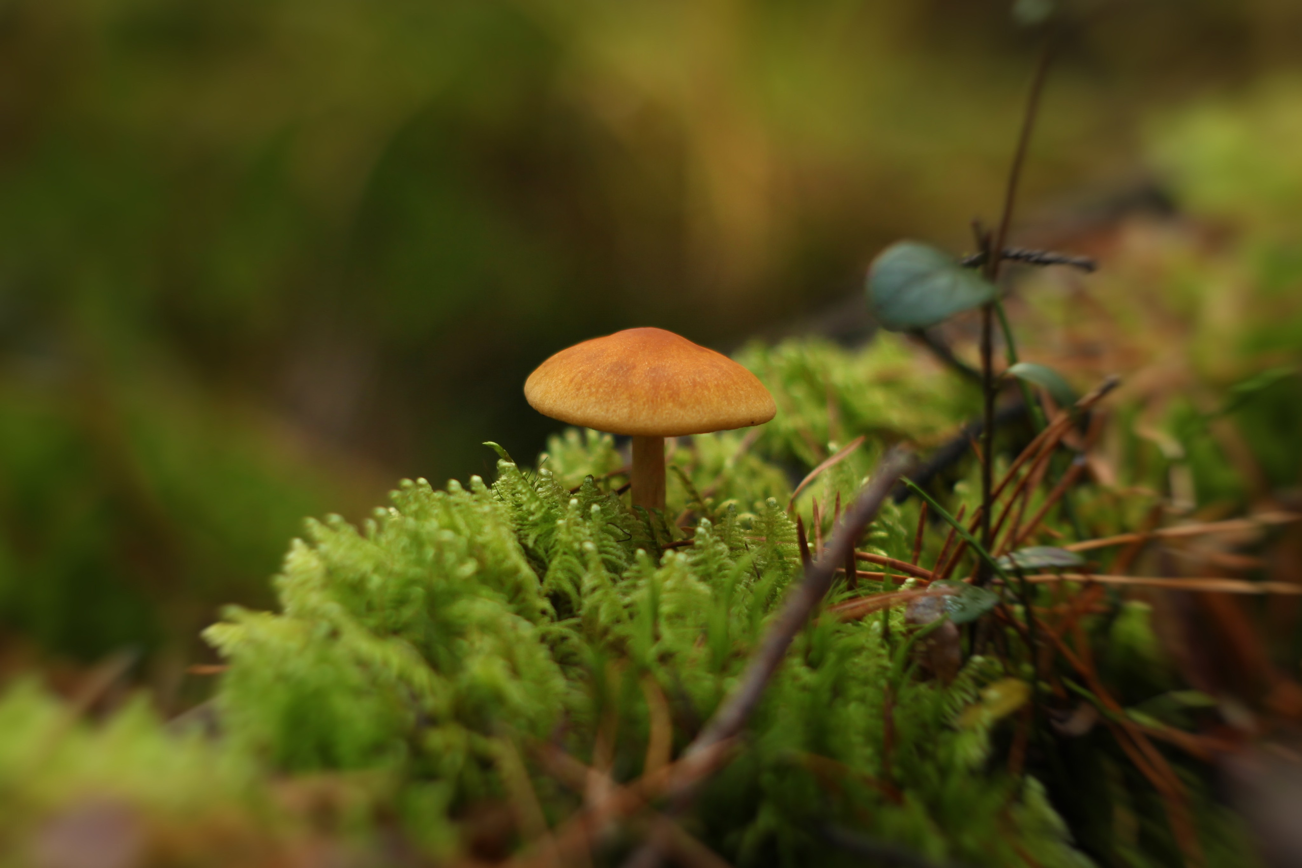 Разное из Разного времени. Ню Фотограф Александр Касымов Москва, фотосессии, Химки фотограф