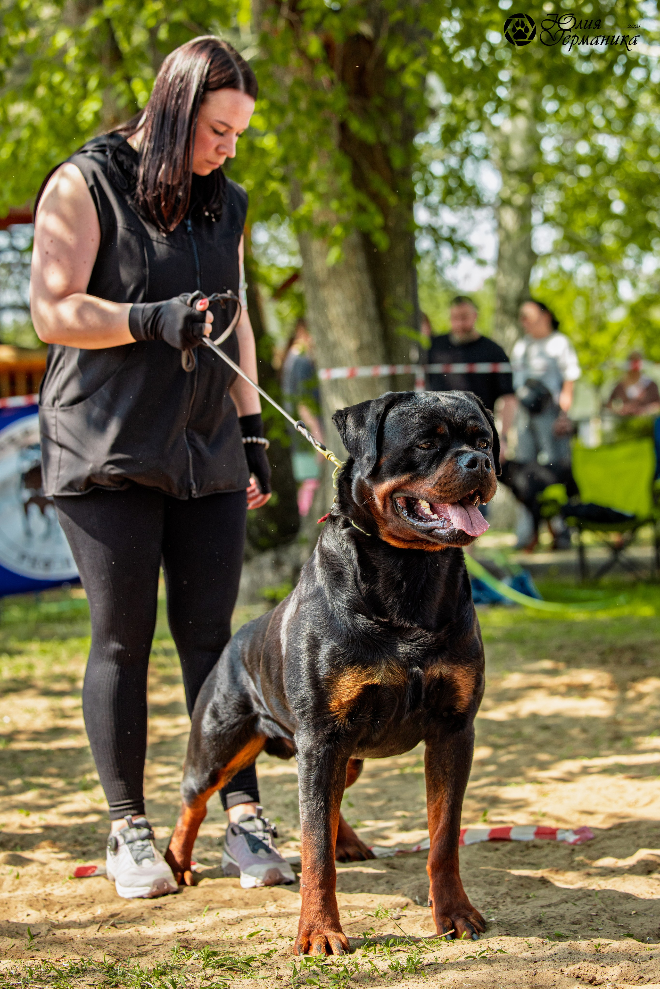 Саратов моно ротвейлеров 26-27.04.2025. Фотограф-анималист Юлия Германика