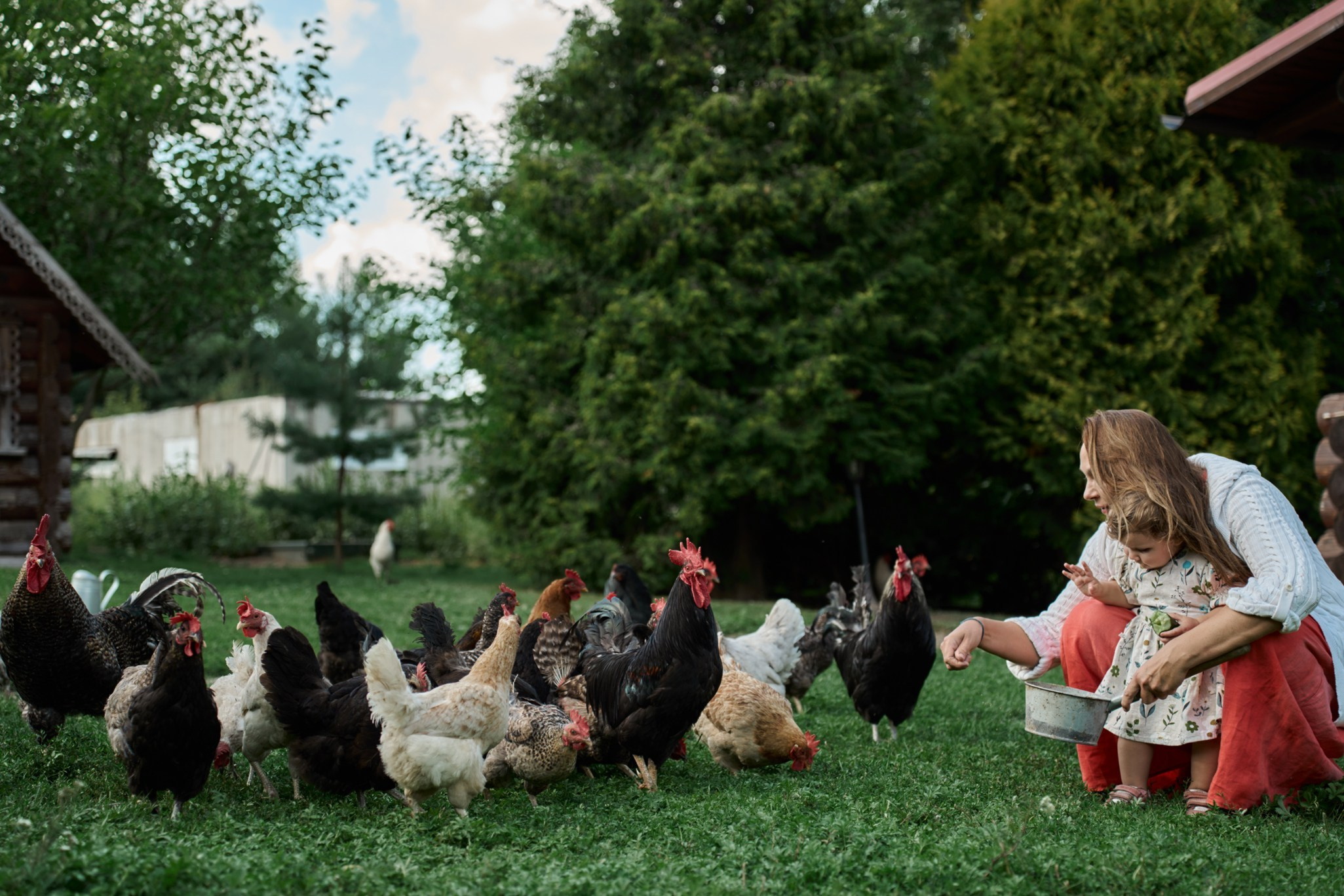 Лето в деревне Веслево. Фотограф Женя Пашкина