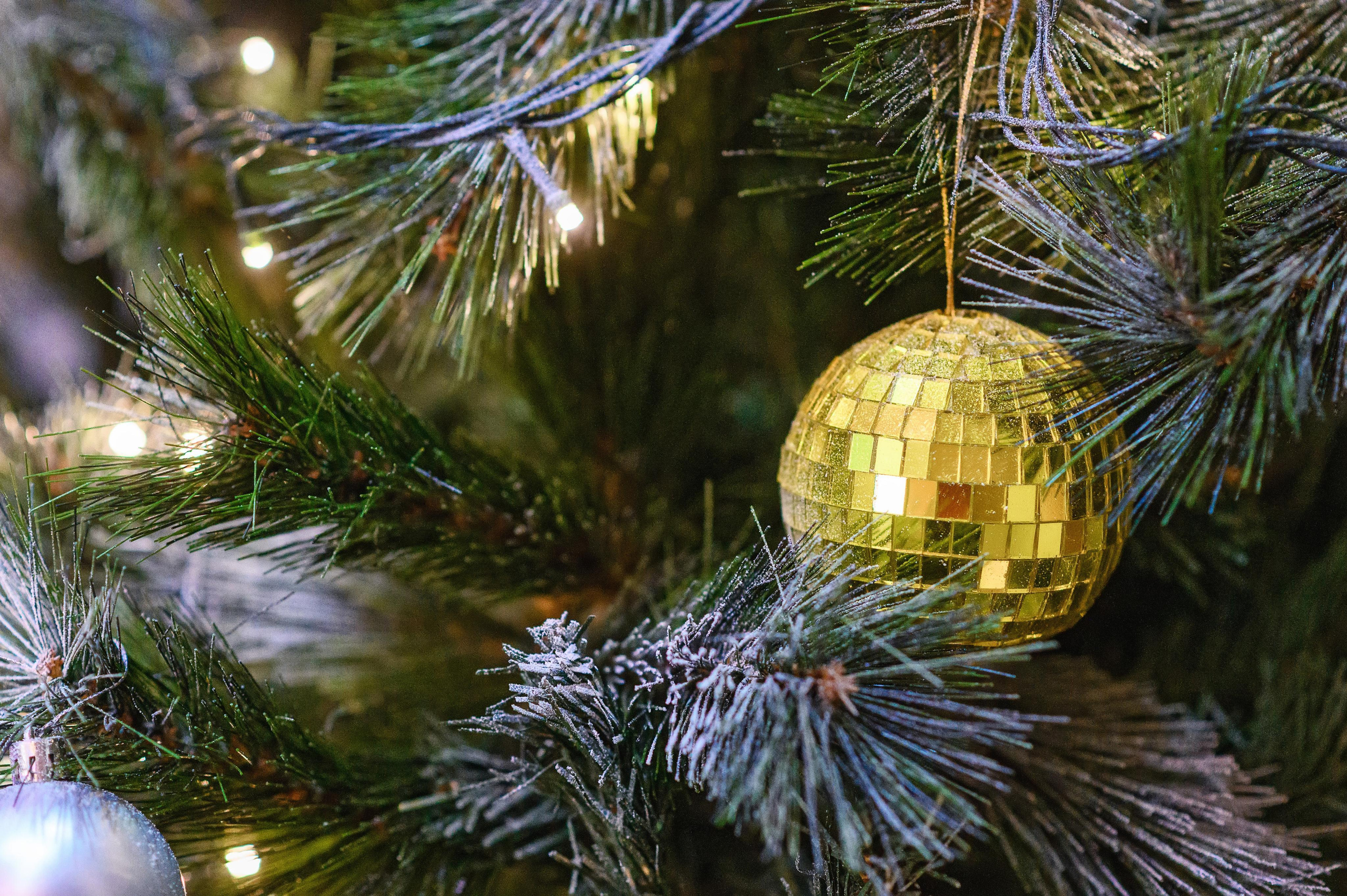 Отзывы. Евгений Уфаев, фотограф