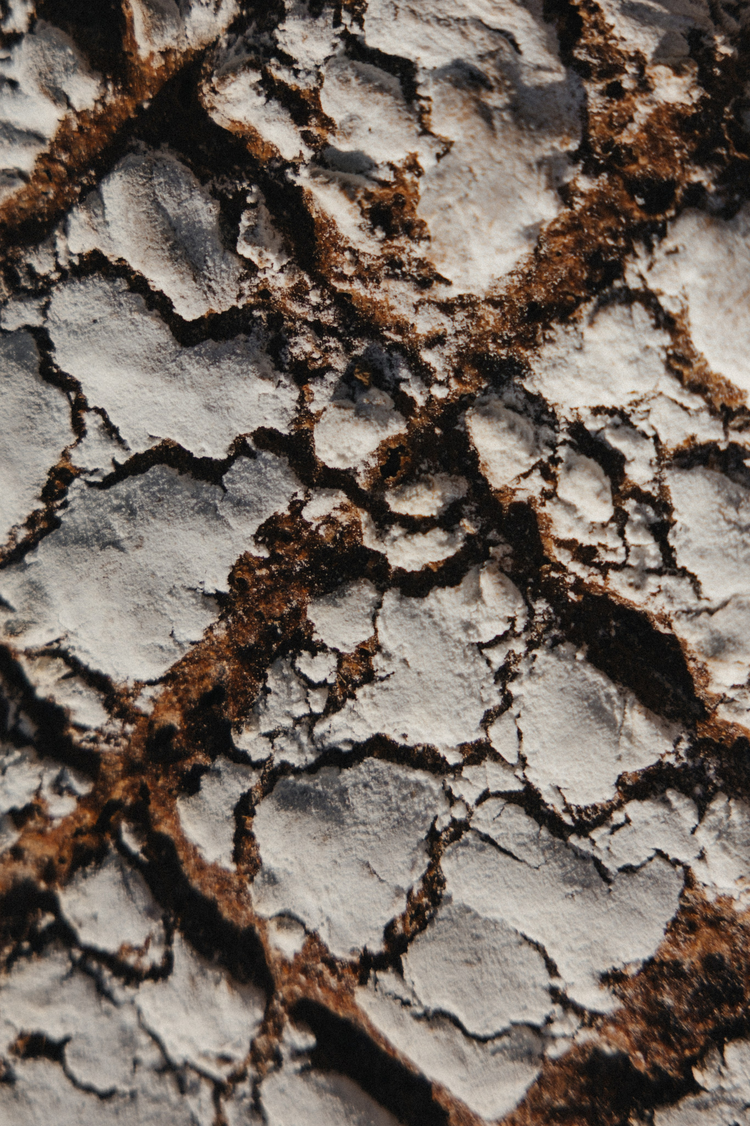 Шепот трав. Свадебный и семейный фотограф и видеограф, Крым, Москва, Санкт -Петербург