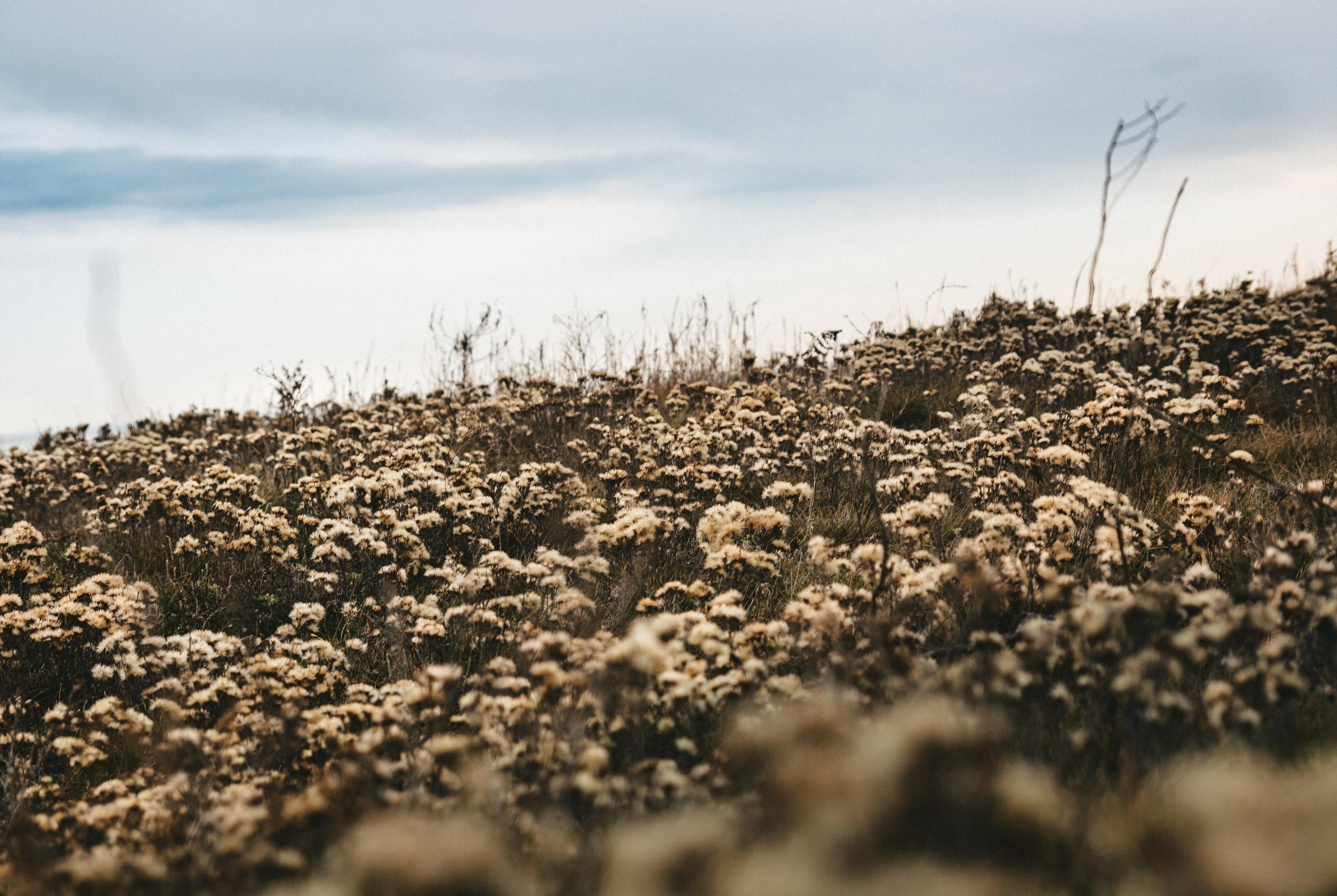 TRAVEL. EVGENYA PERESADOVA