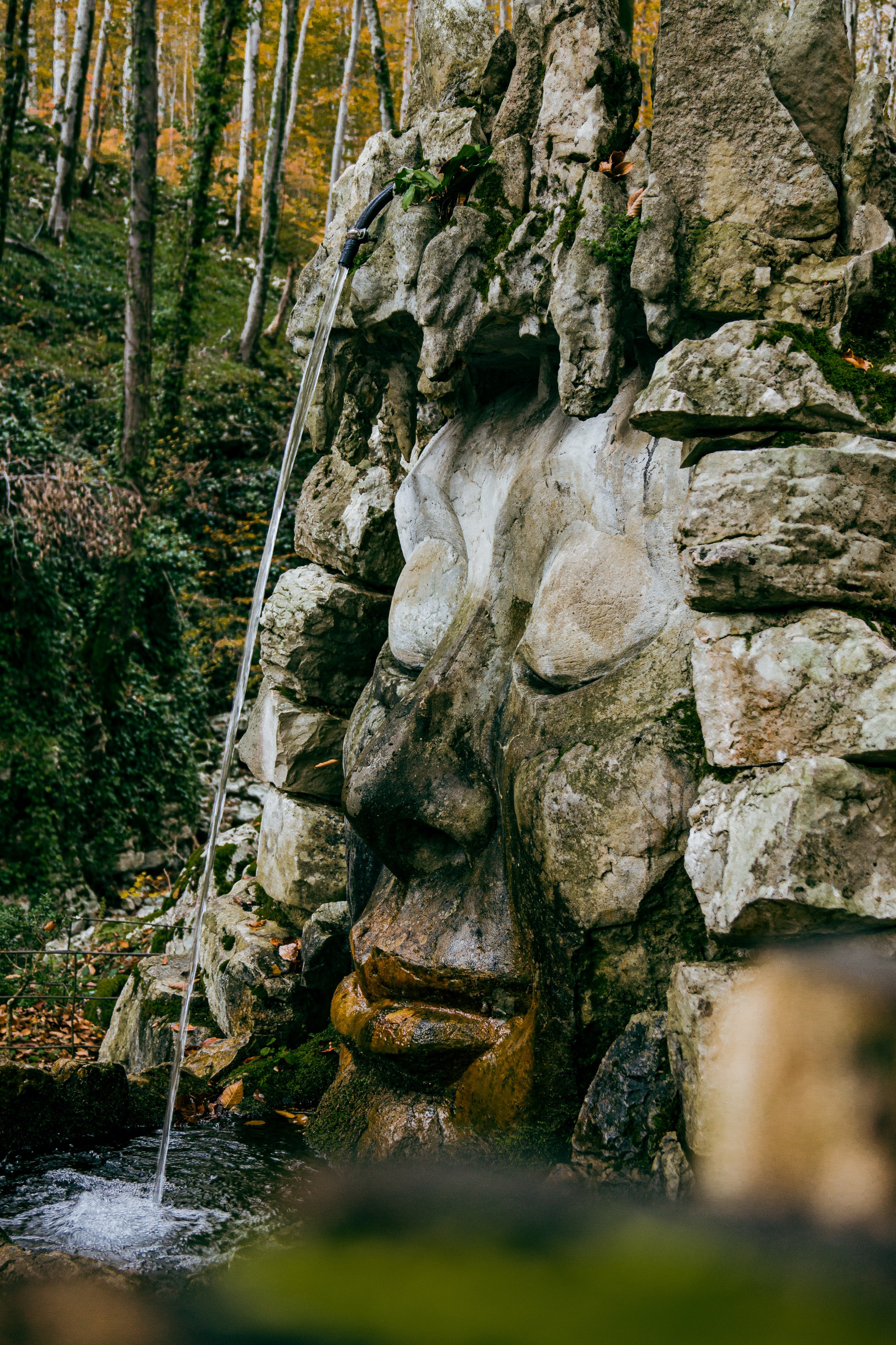 Фотографии Сочи, глазами гида-фотографа. Фотограф в Сочи Елена Лисотина. Фототуры в Сочи