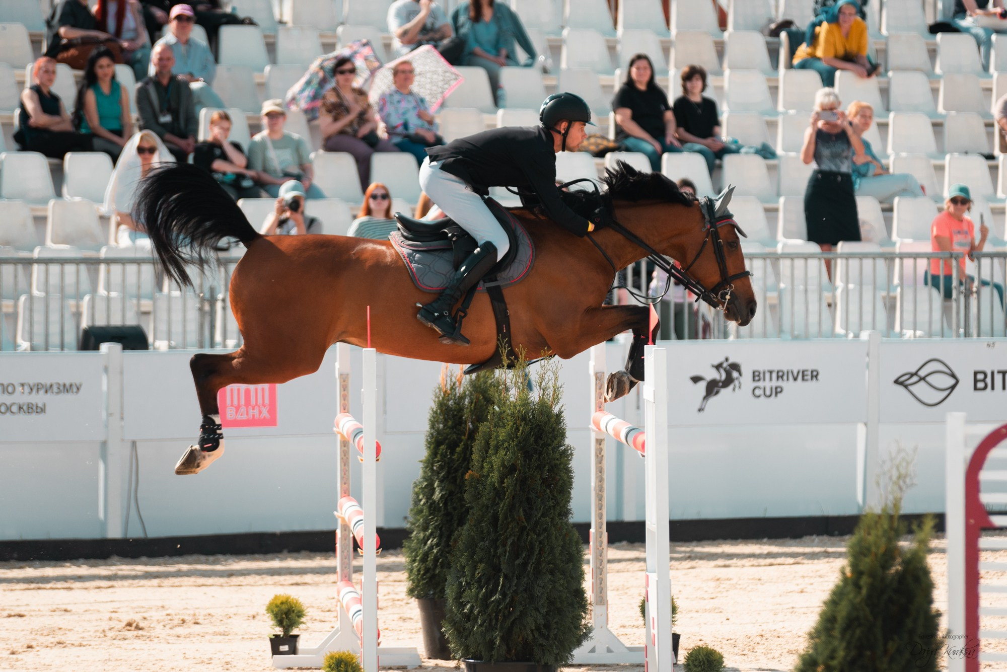 BITRIVER CUP 2023. Конный фотограф Куракина Дарья • Фотосессии с лошадьми