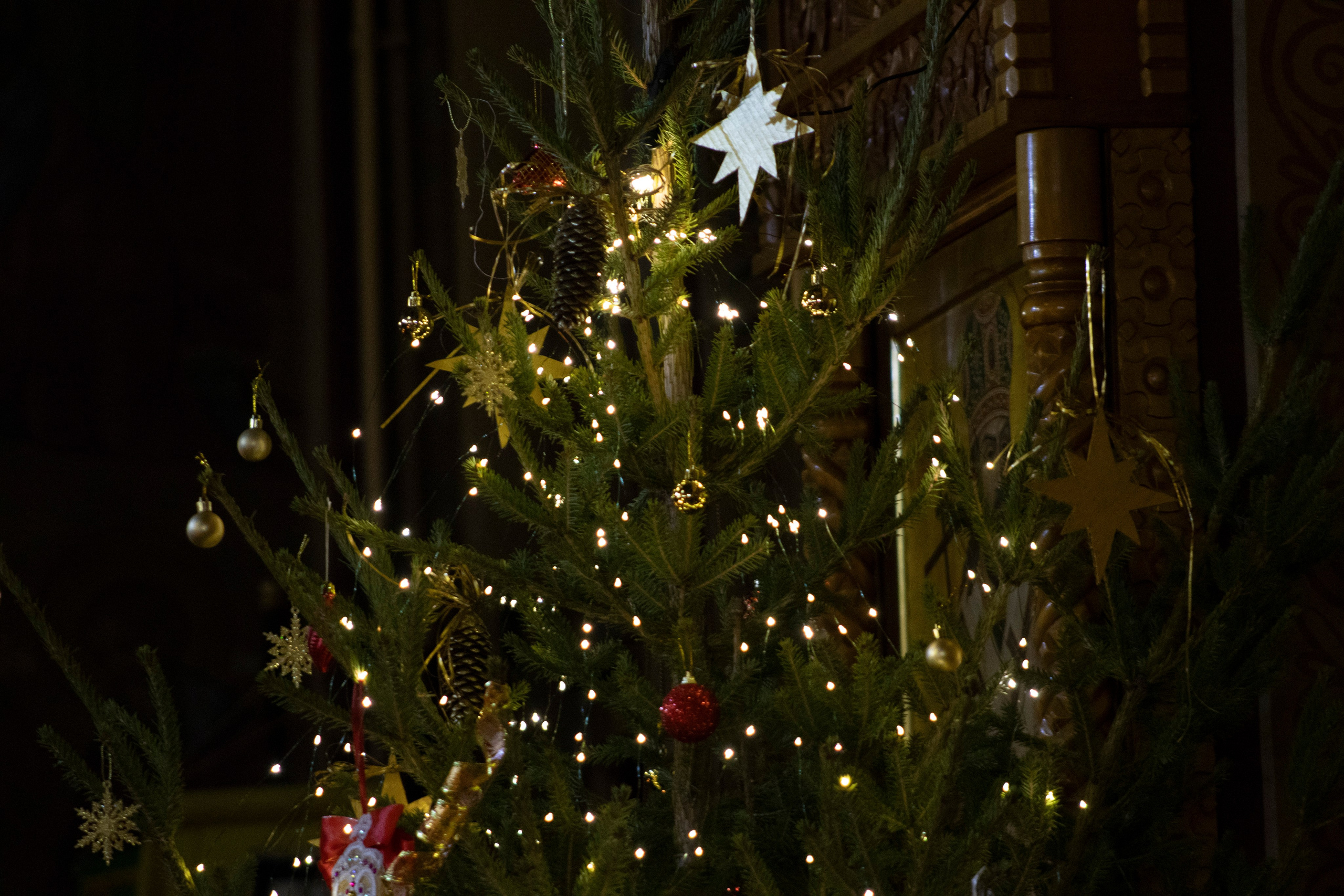 Рождество Христово. ТОП Фотограф на Крещение и Венчание Железногорск Алексей Мещеряков
