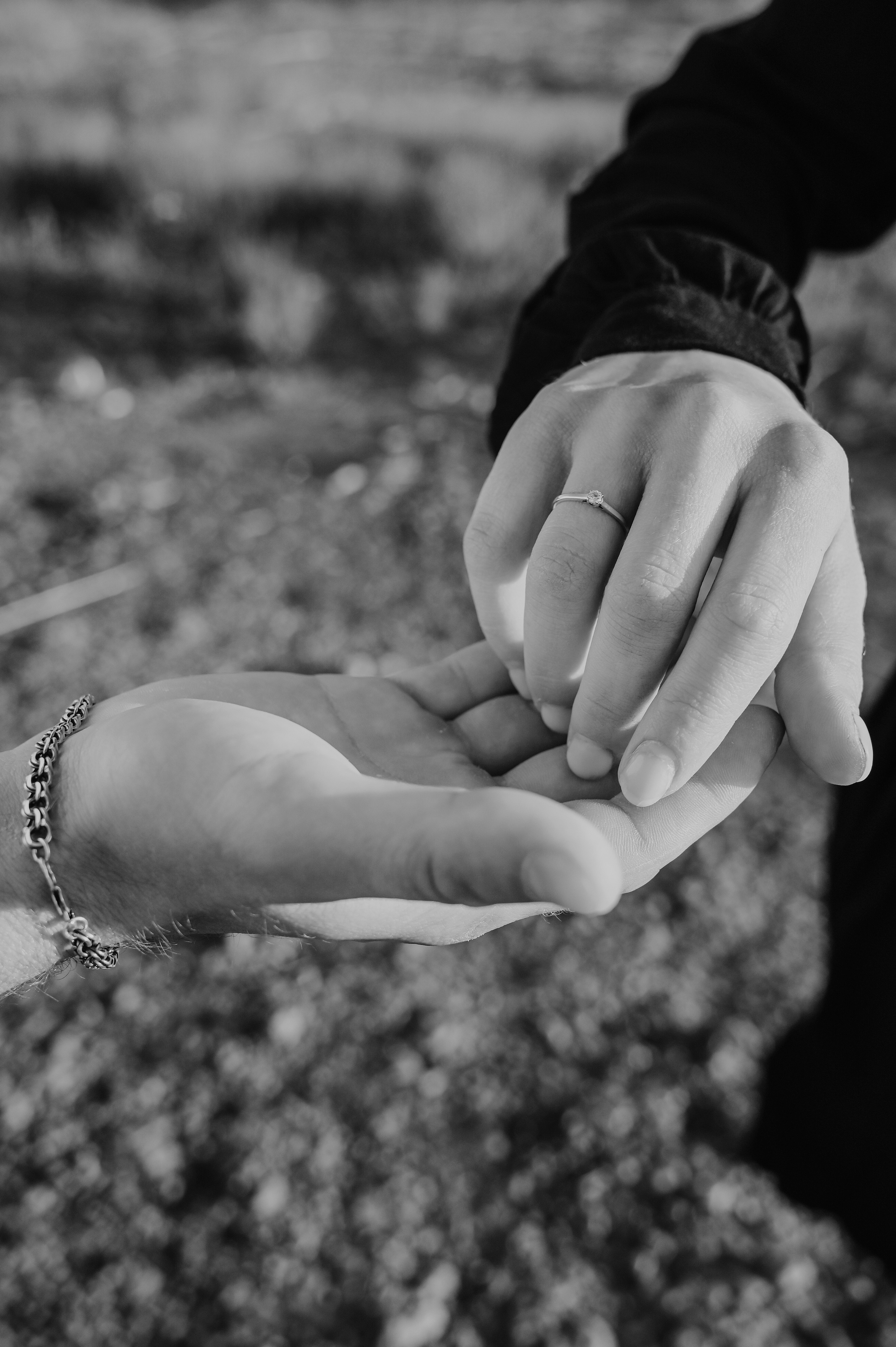 Катя & Дима. Марина Шуляк Фотограф Кострома — Санкт Петербург